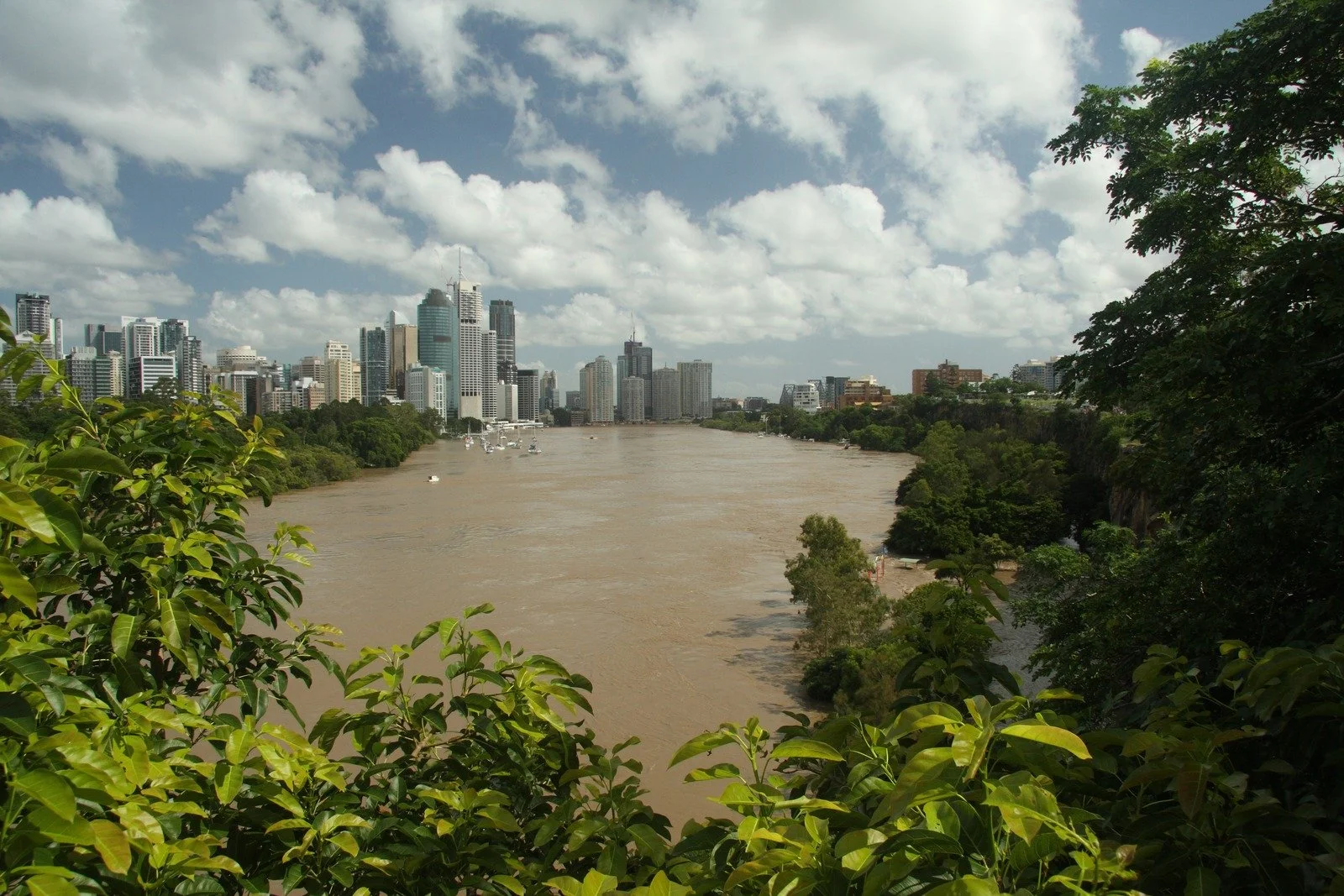 Growing cities and growing exposure