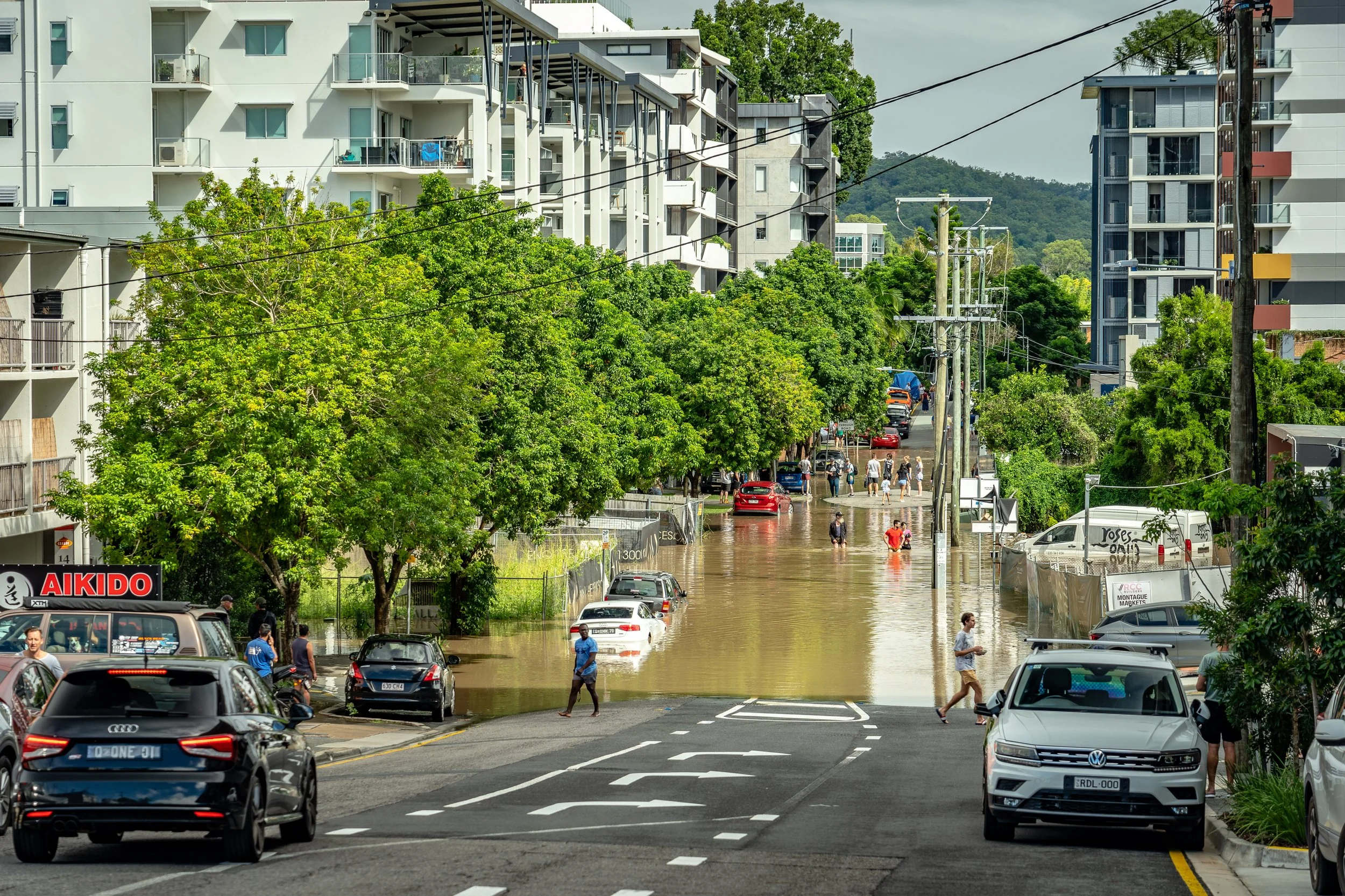 A flooded street lined with trees, cars and apartment buildings.
