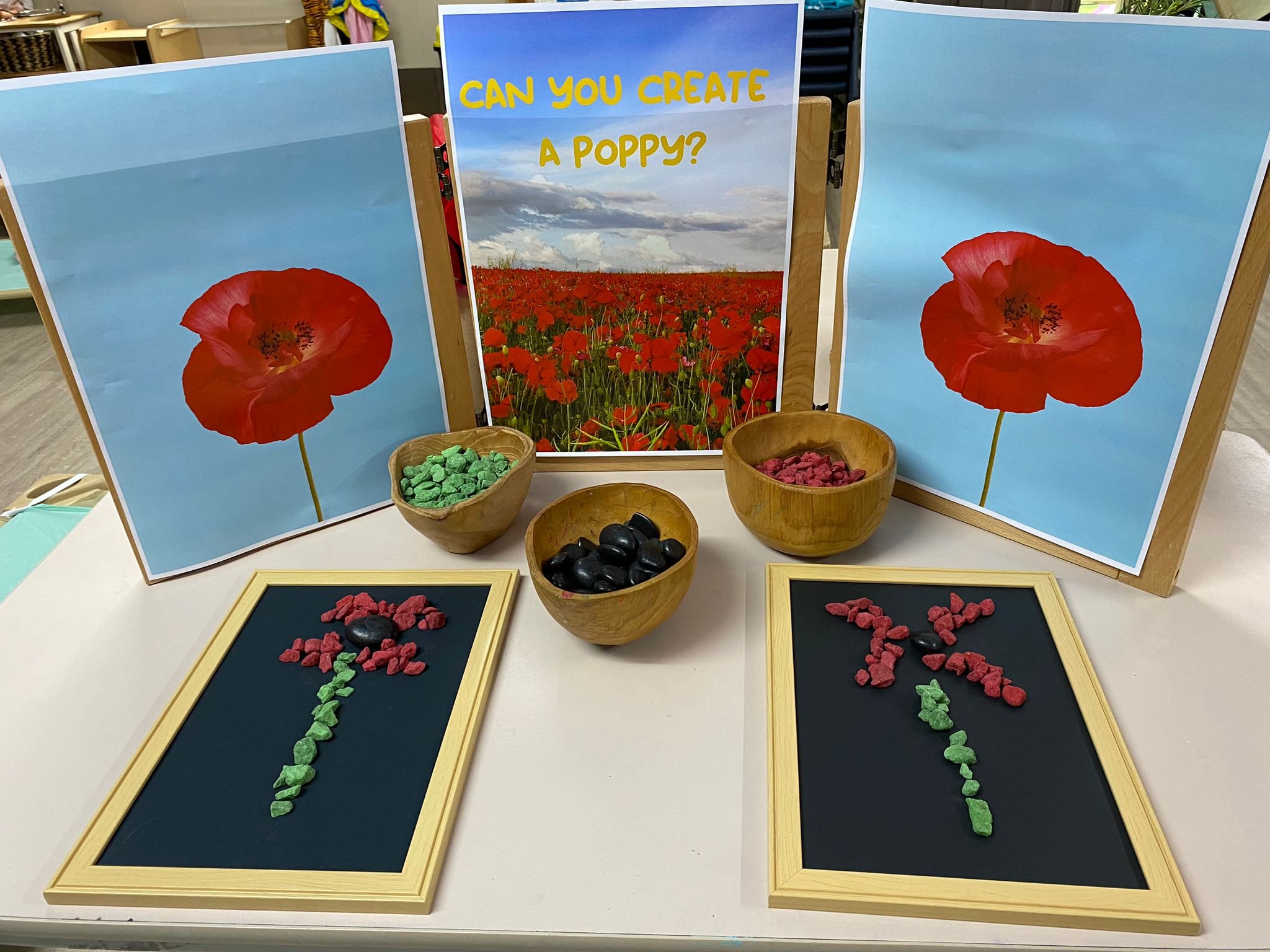 Can you create a Poppy?