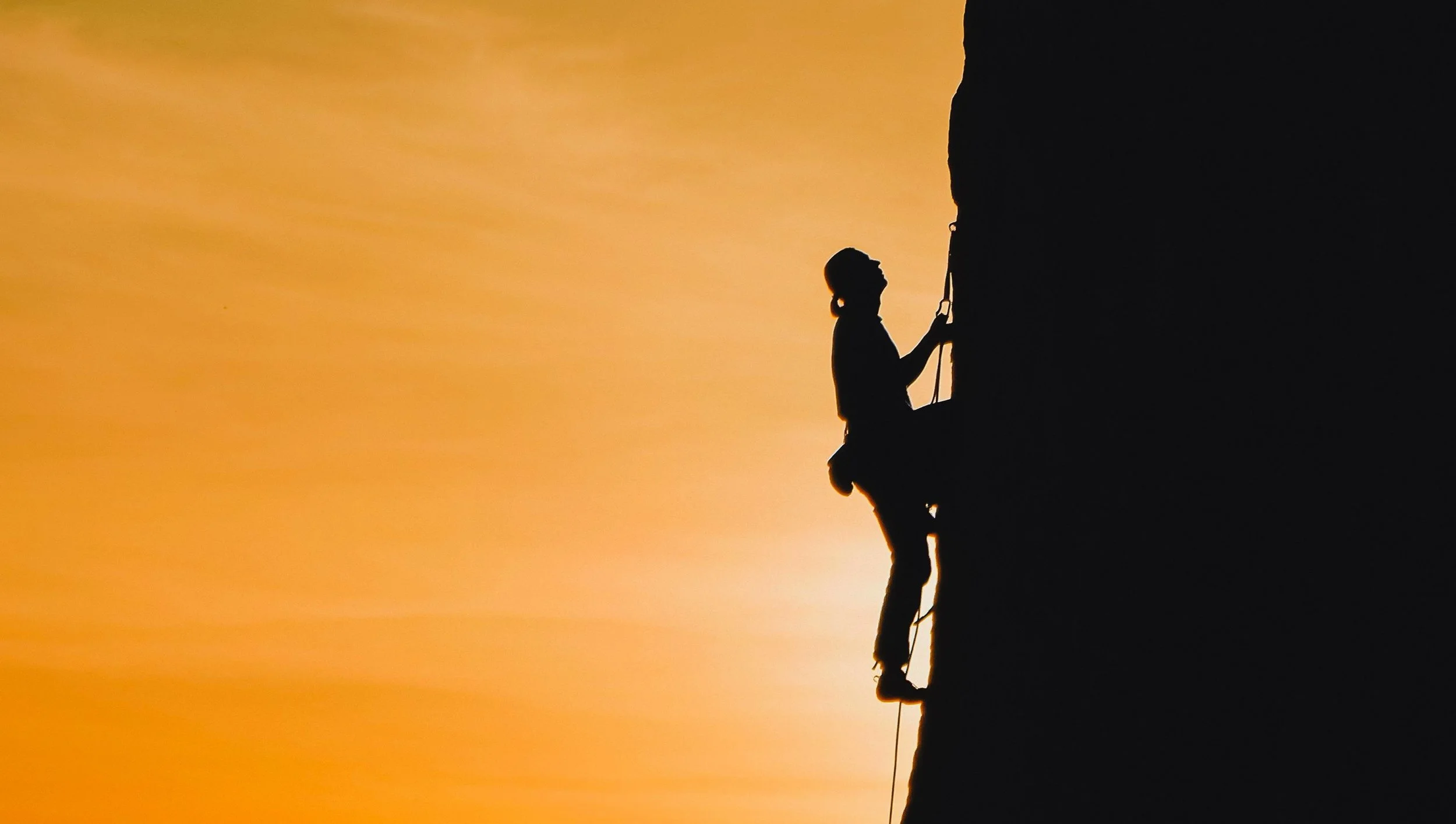 Operational Leverage: Doing More with Smarter Systems