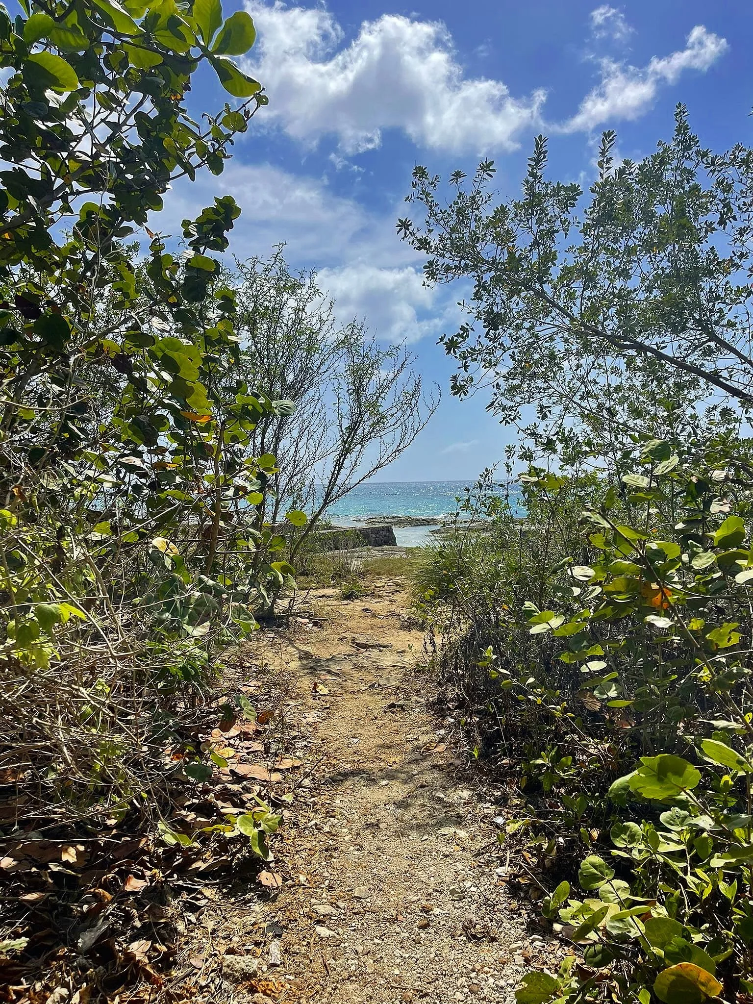 Hidden-Beach-Free-Beaches-Cozumel-Mexico (Copy)