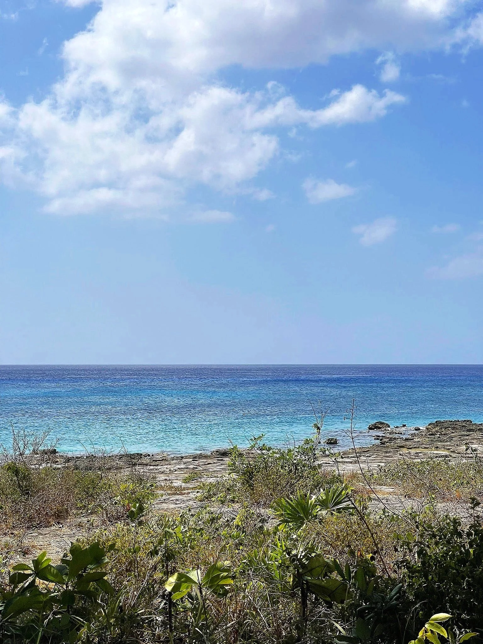 coastline-cozumel-itinerary