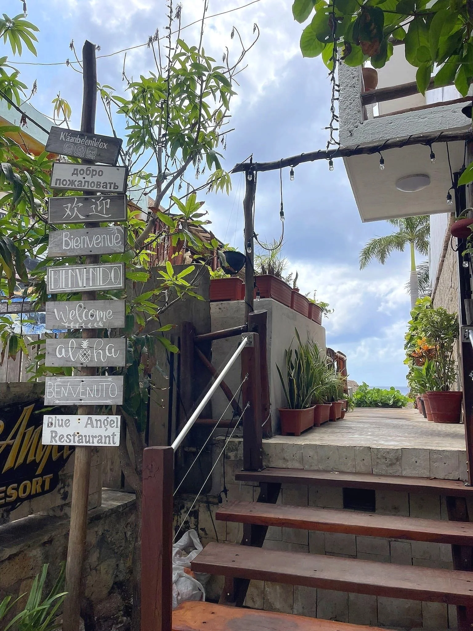 sign-diving-cozumel-dive-locations