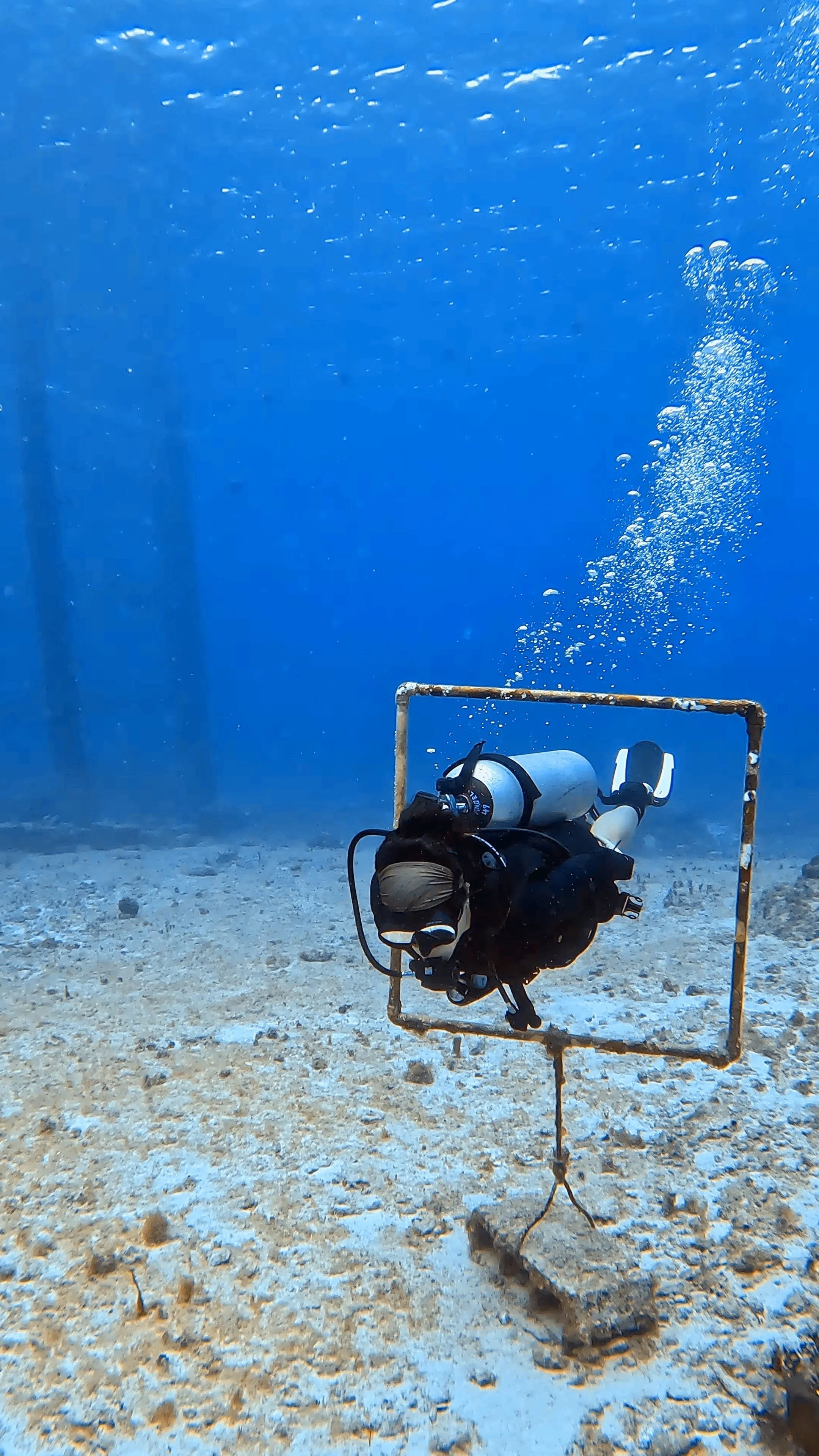 Scuba-Boyancy-best-things-to-do-in-cozumel