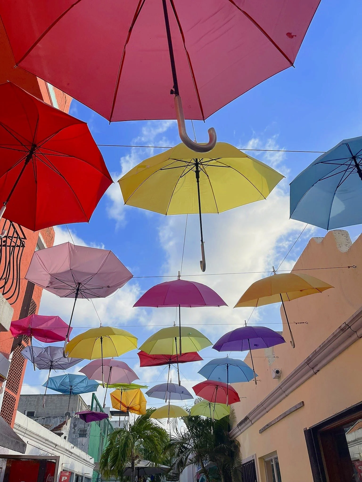 colorful-umbrellas-cozumel-cruise-port