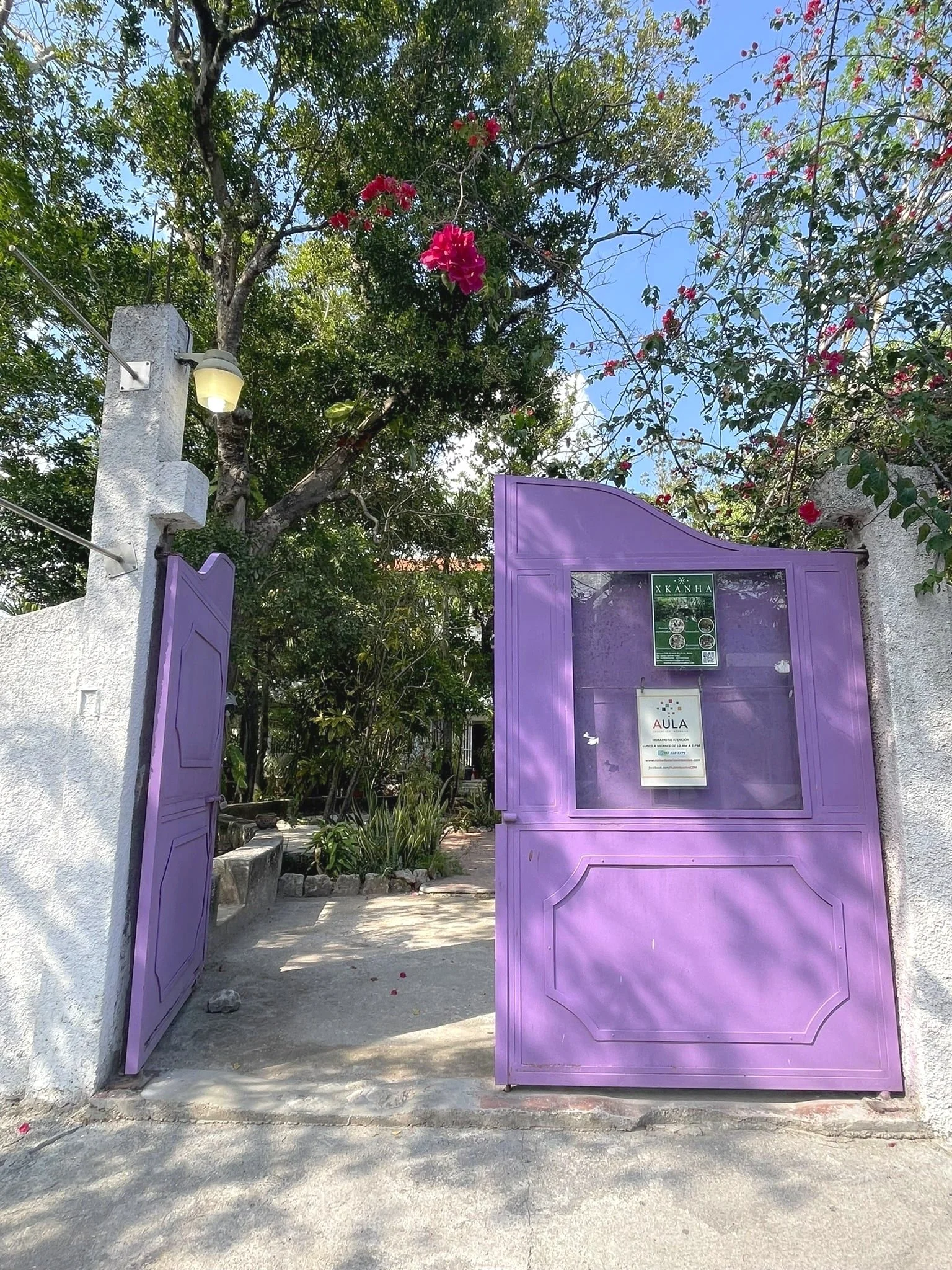 Purple-Doors-Cozumel-Gyms