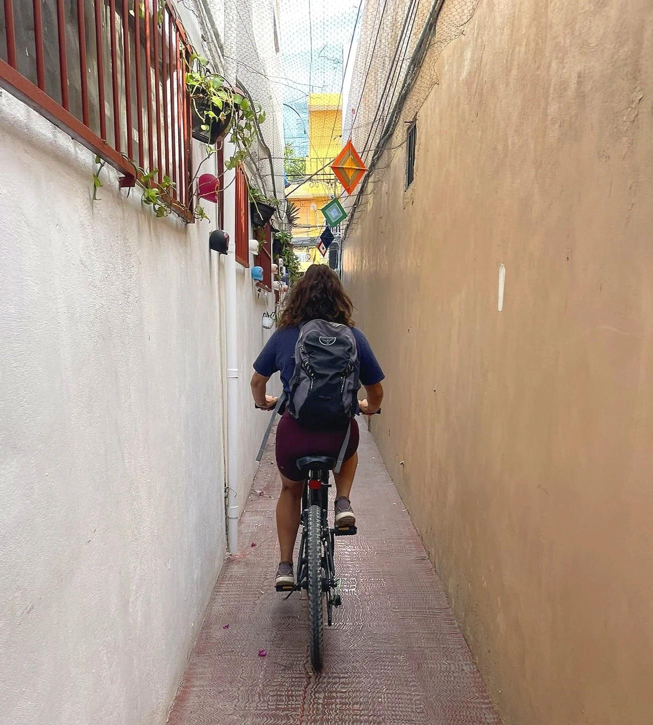 Bicycle-Riding-Animals-In-Cozumel