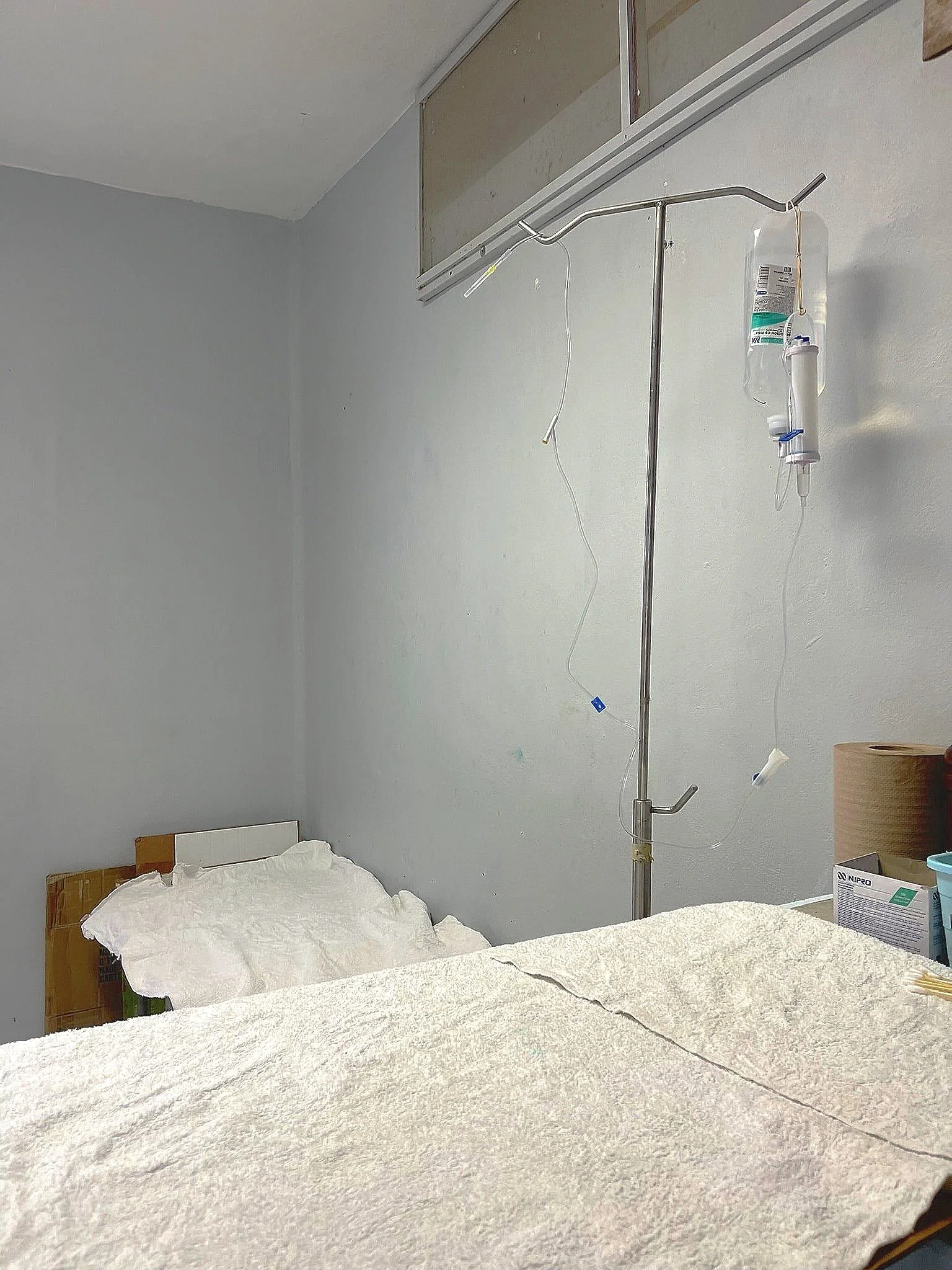 Sterilizations-animals-in-cozumel