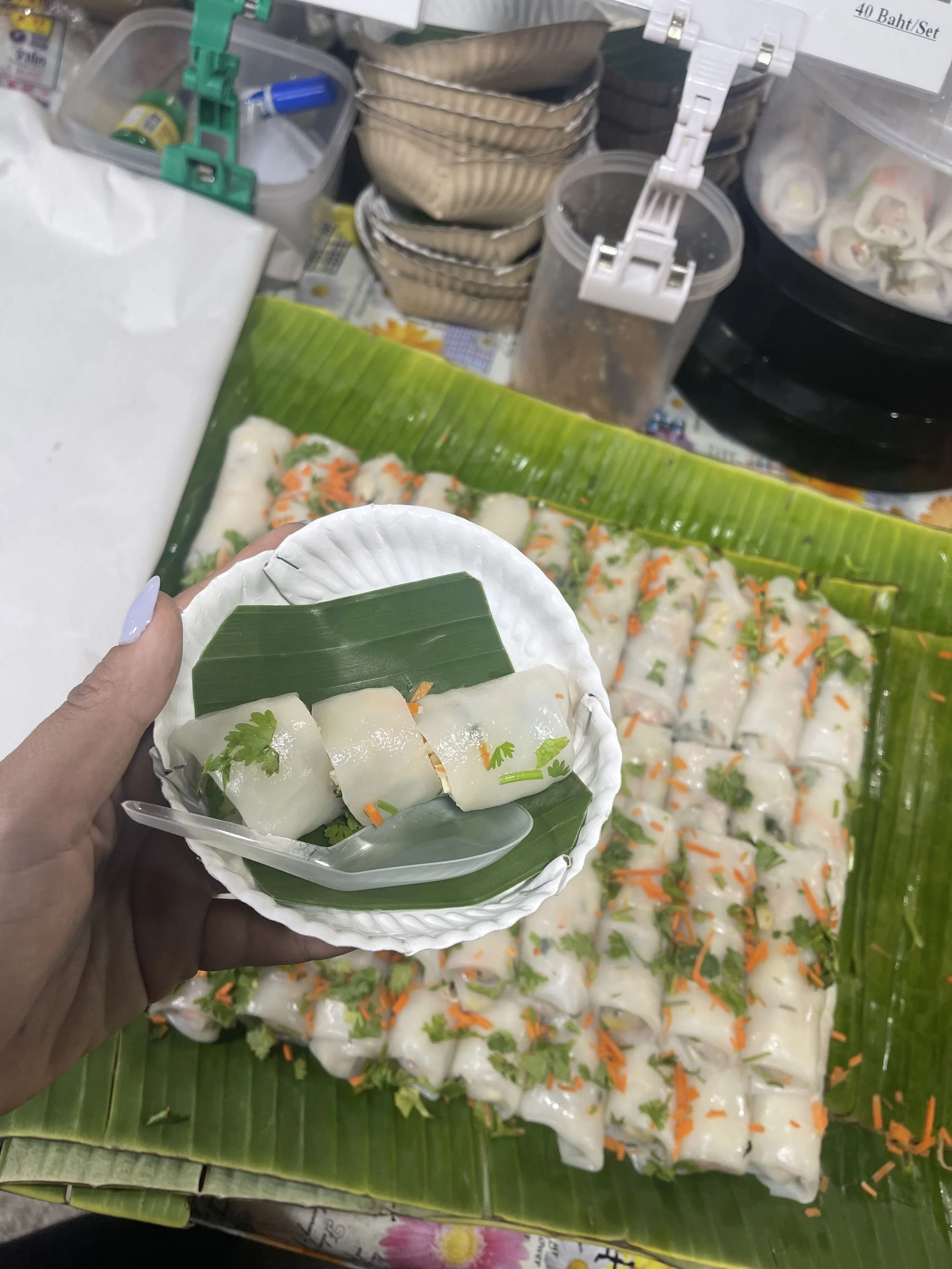 Fresh-Spring-Roll-1-Day-in-Siem-Reap