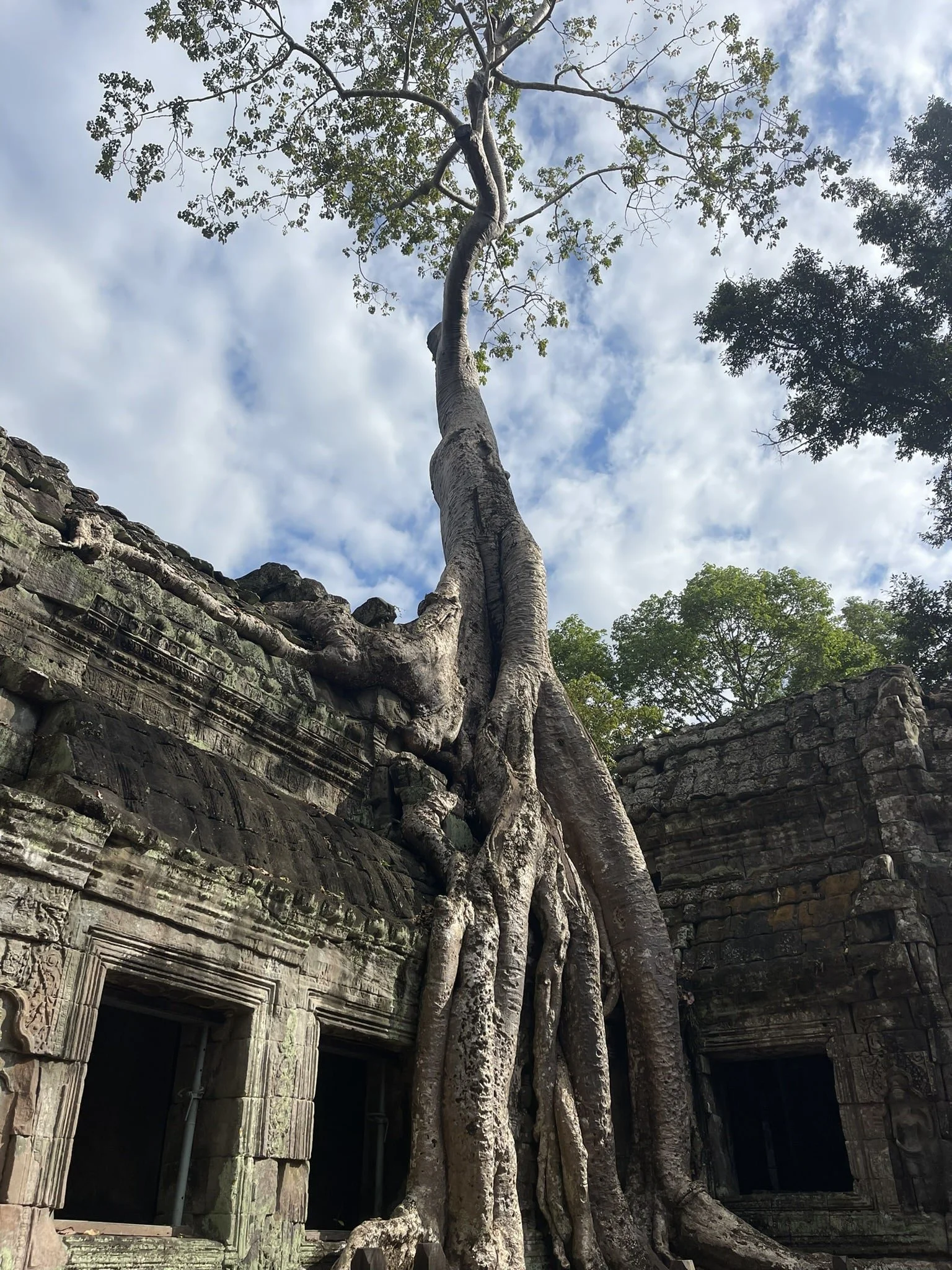 Ta-Prohm-1-Day-in-Siem-Reap