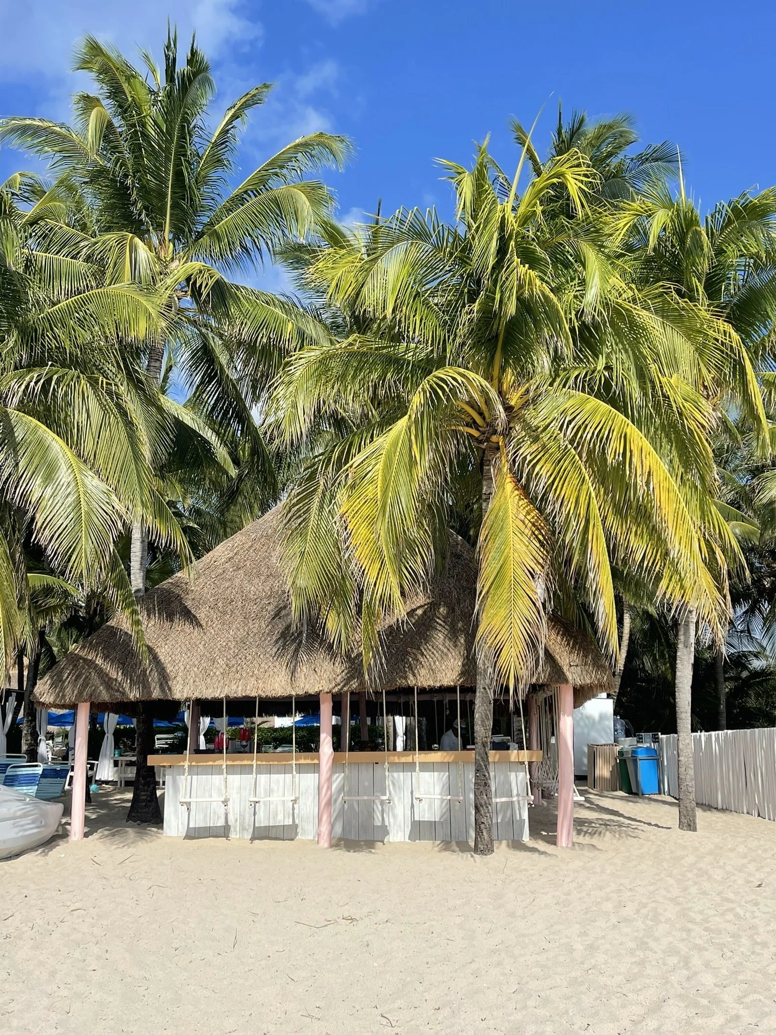 paradise-bar-Best-Beach-Clubs-in-Cozumel-Mexico