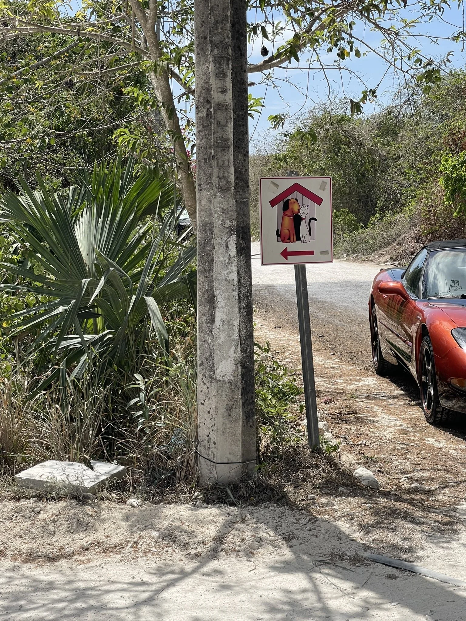 humane-society-sign-best-things-to-do-in-cozumel