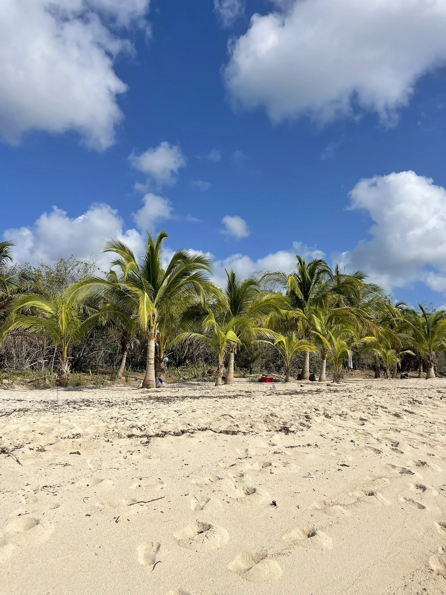 sandy-beach-cozumel-cruise-port
