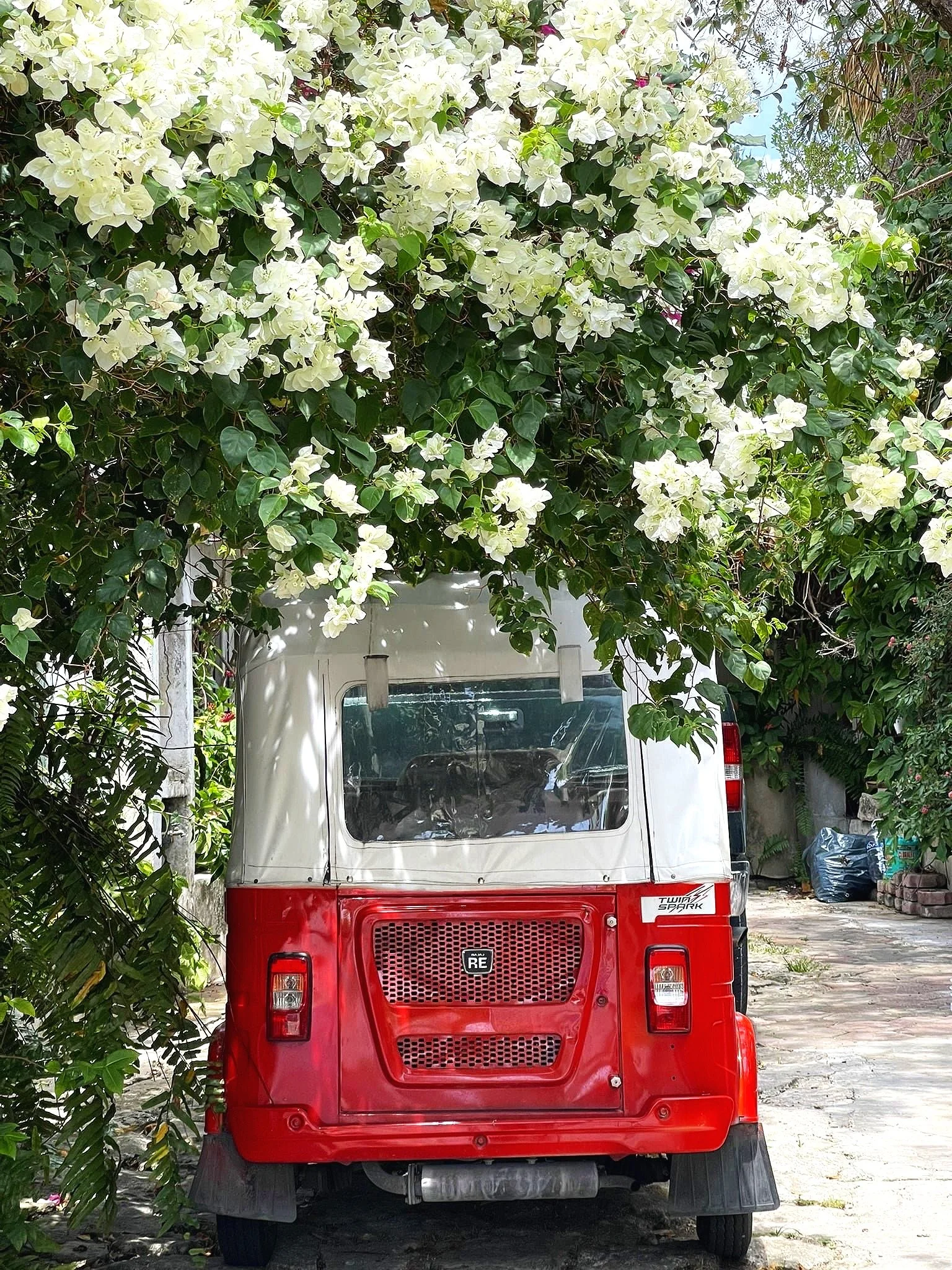 taxi-flowers-cozumel-cruise-port