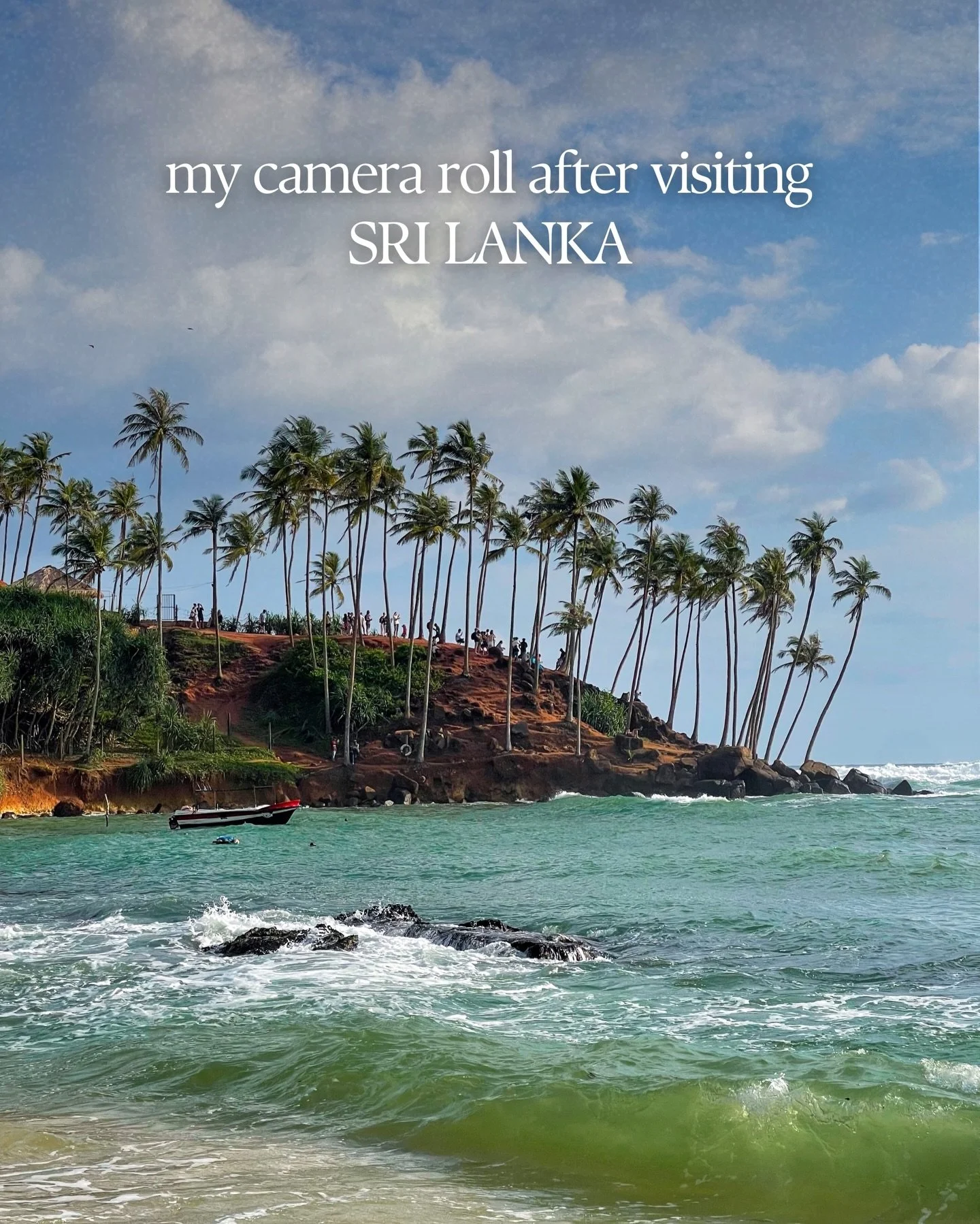 My camera roll after visiting Sri Lanka 🇱🇰 

Can we talk about how i was NOT prepared for a wild elephant to just be standing right next to me in&hellip; i just sat there with my mouth open in shock. 

sri lanka you exceeded my expectations and now