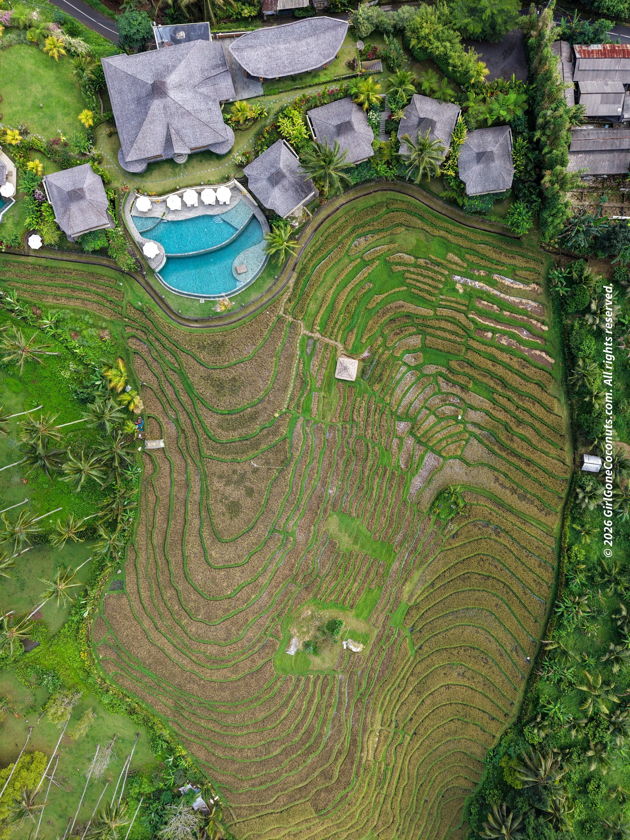 Puri Dajuma Bali Review: West Bali's Most Underrated Eco Resort