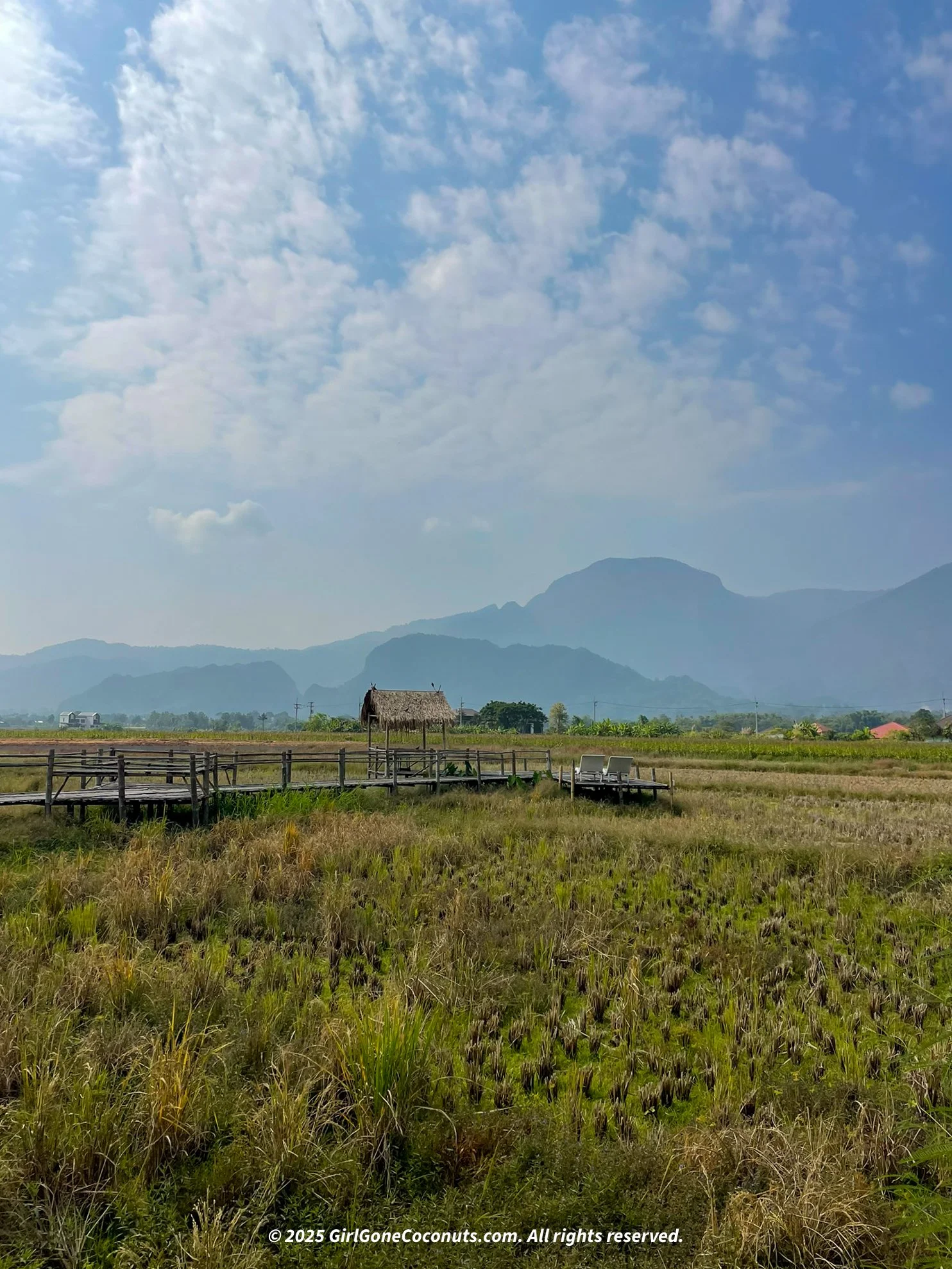 Chiang Rai's mountainous landscape with lush green grass and tea plantations.