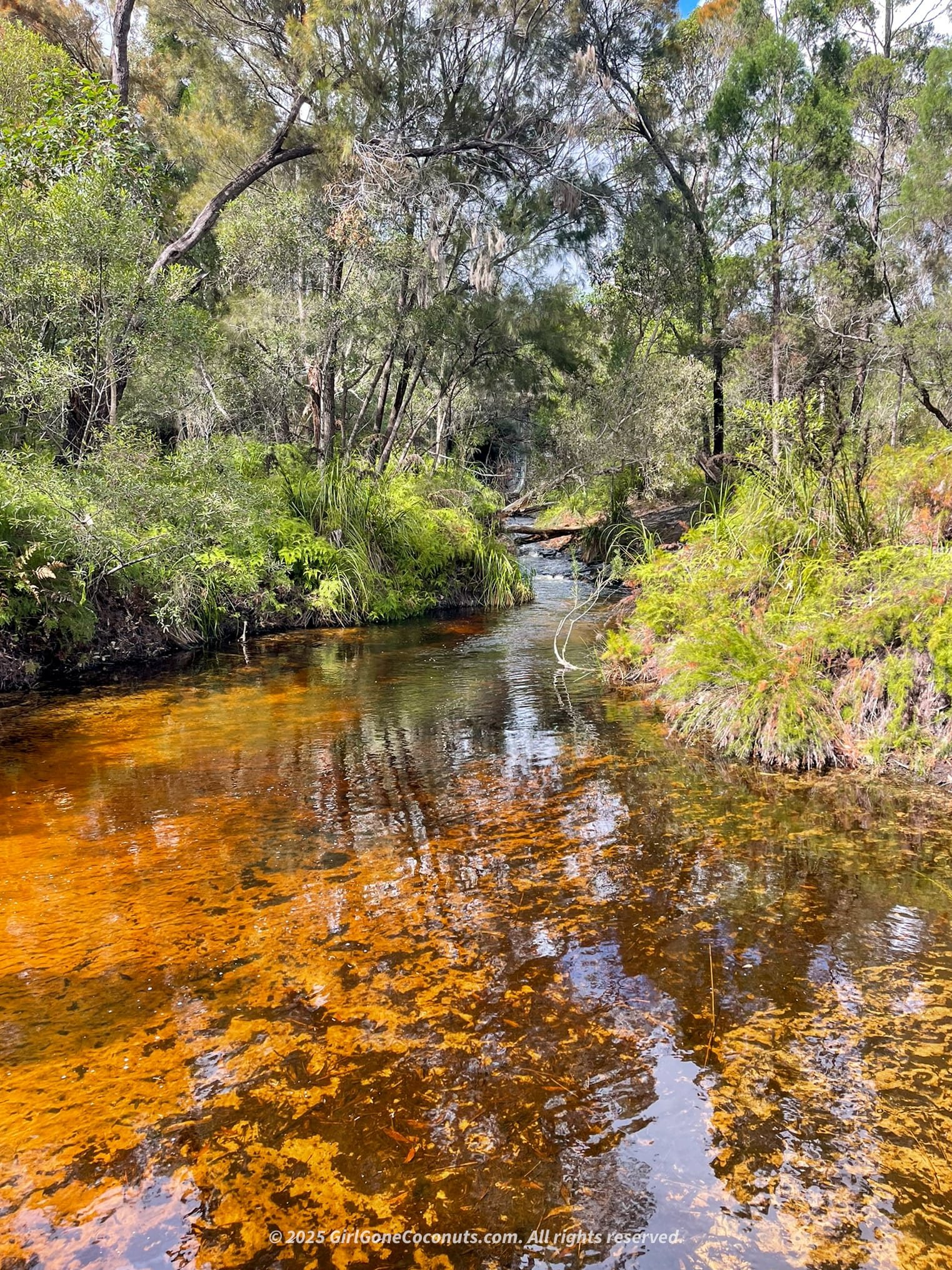 A view of Seary's Creek in Rainbow Beach, a popular place to swim.