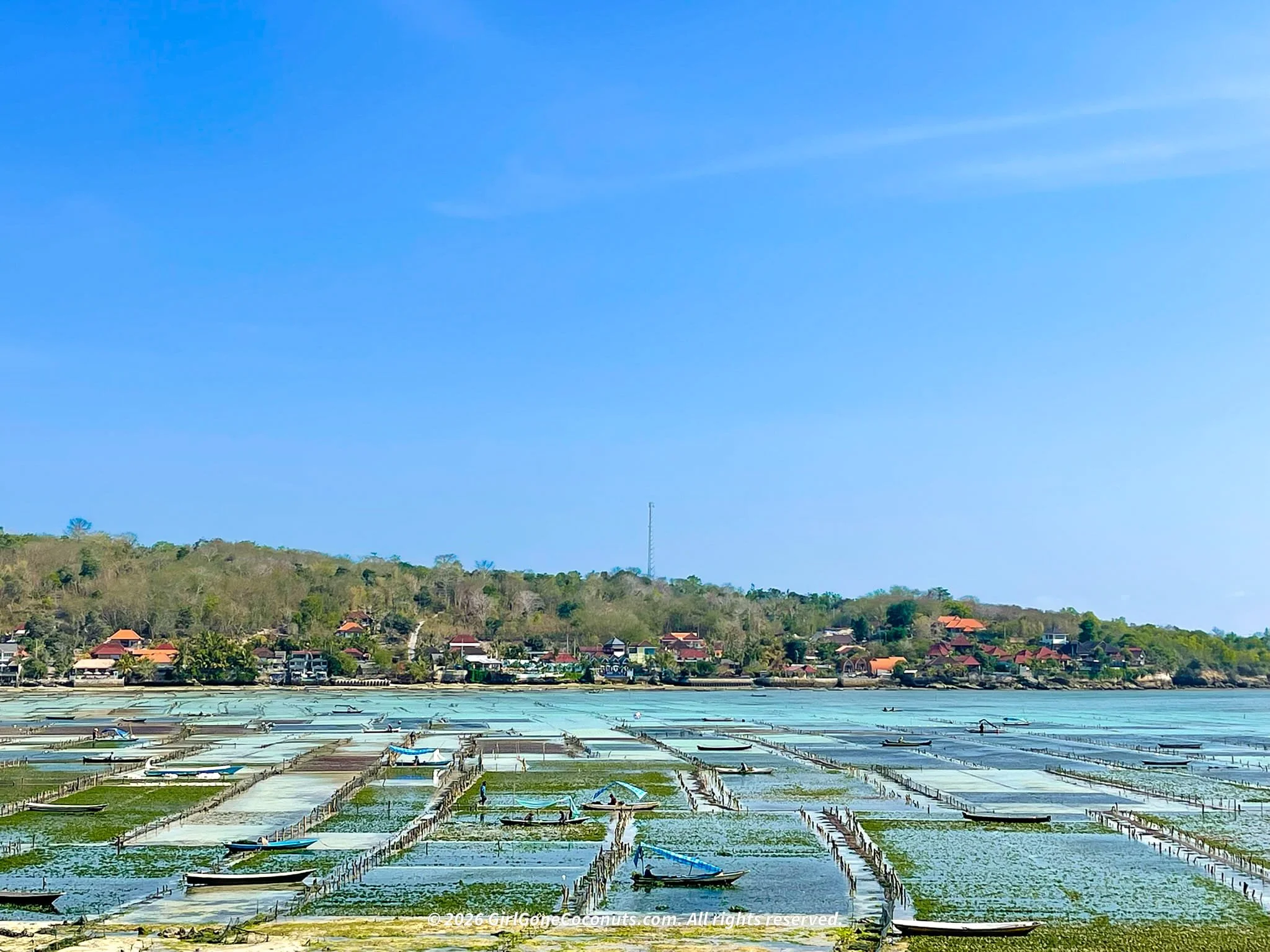 The seaweed farms between Nusa Ceningan and Nusa Lembongan.