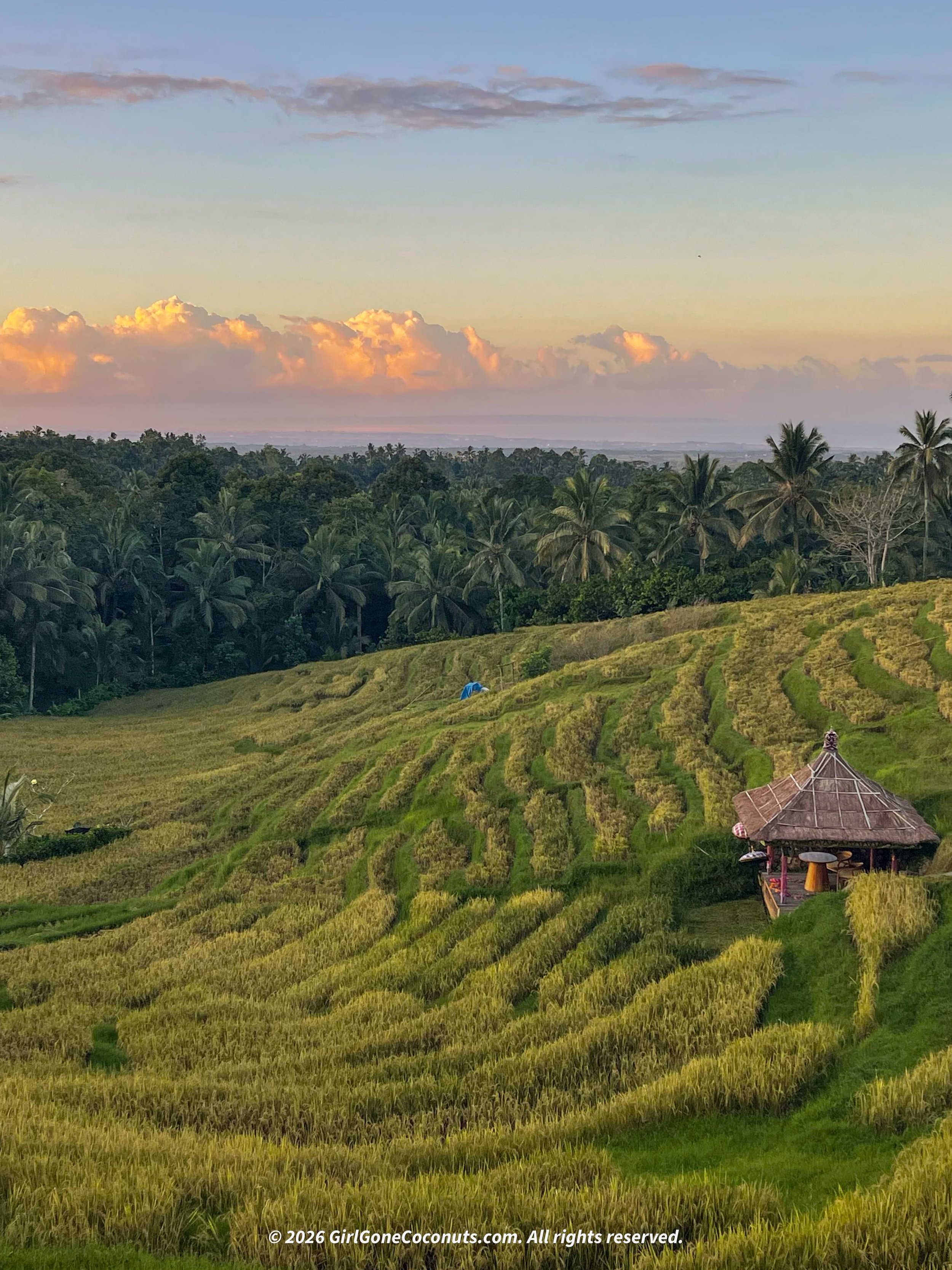 A sunrise over the rice terraces at Puri Dajuma in Bali.