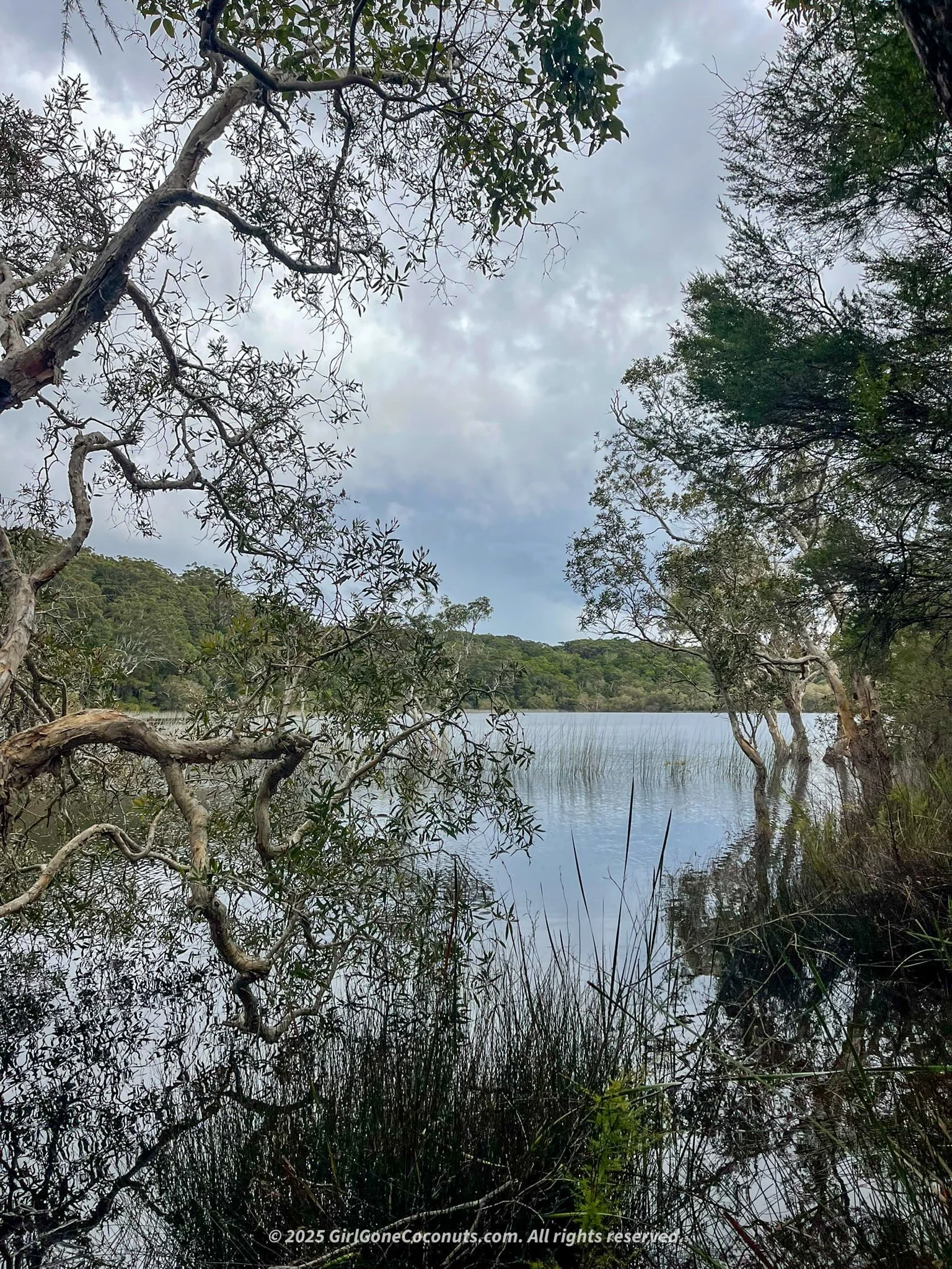 A view of Poona Lake, one of the best hikes and things to do in Rainbow Beach.