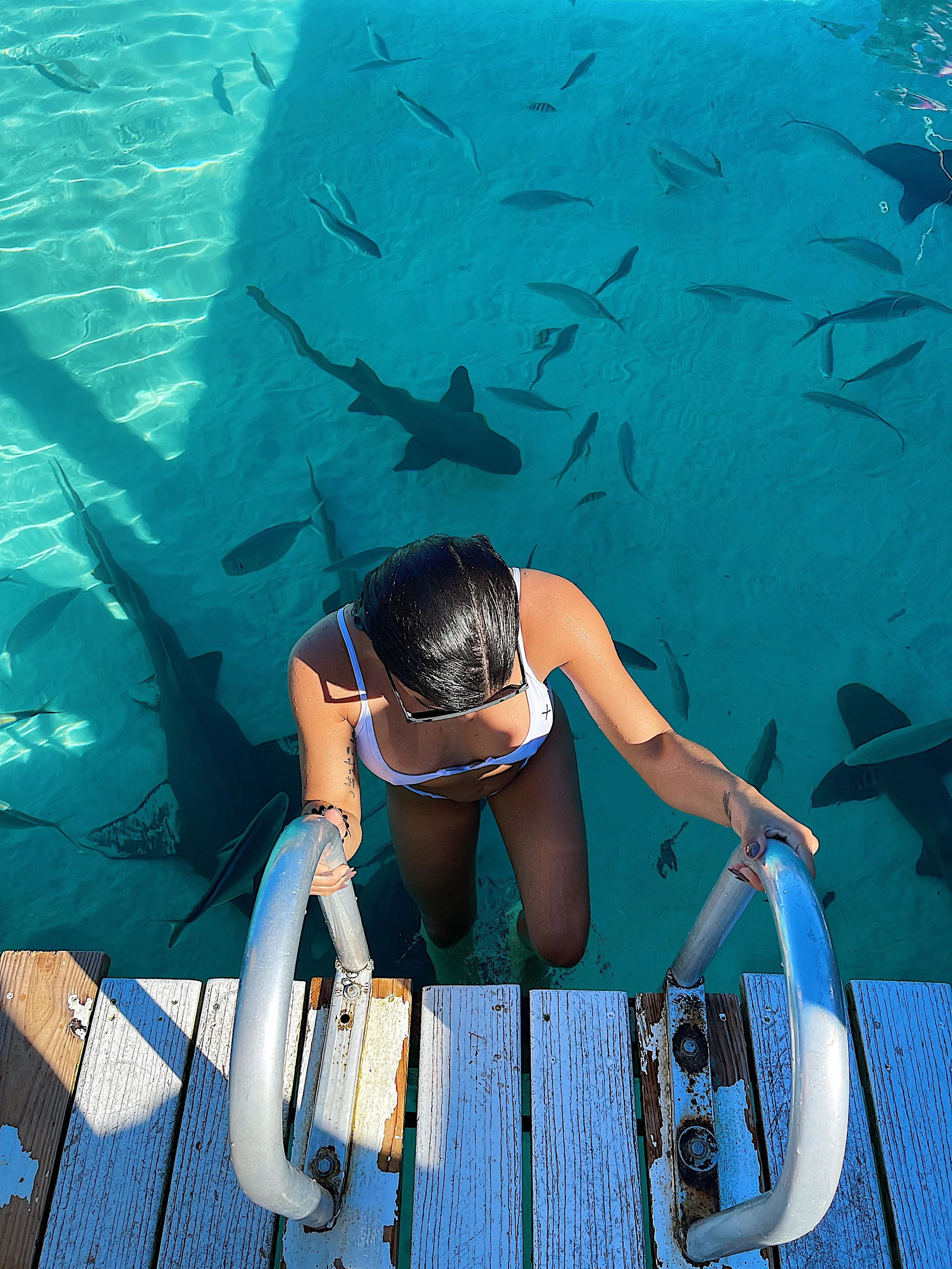 Bahamas Cruise Port: Top 8 Things to Do in Nassau