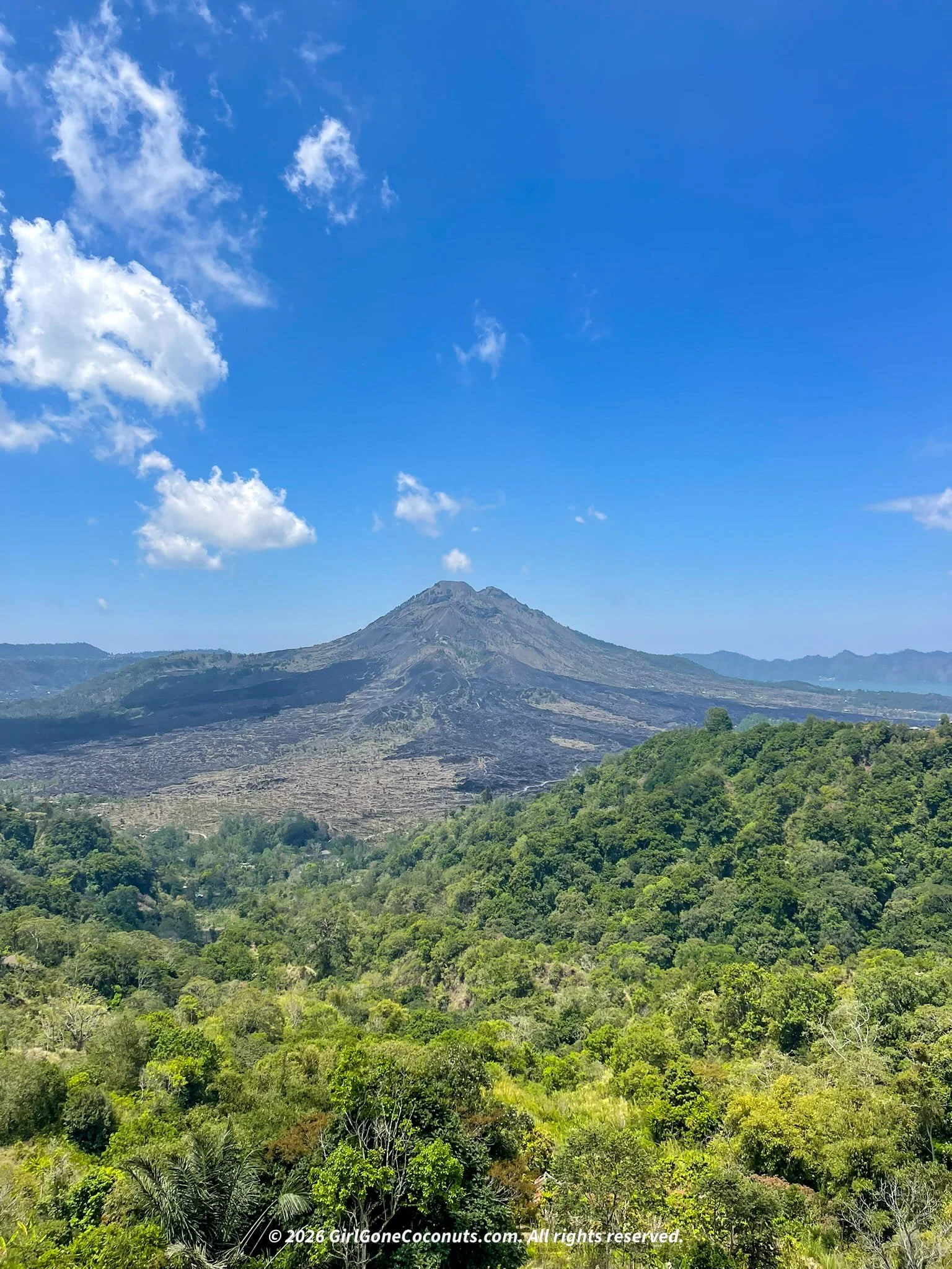Mount Batur volcano rising above black lava fields seen through wild grass, Kintamani Bali.