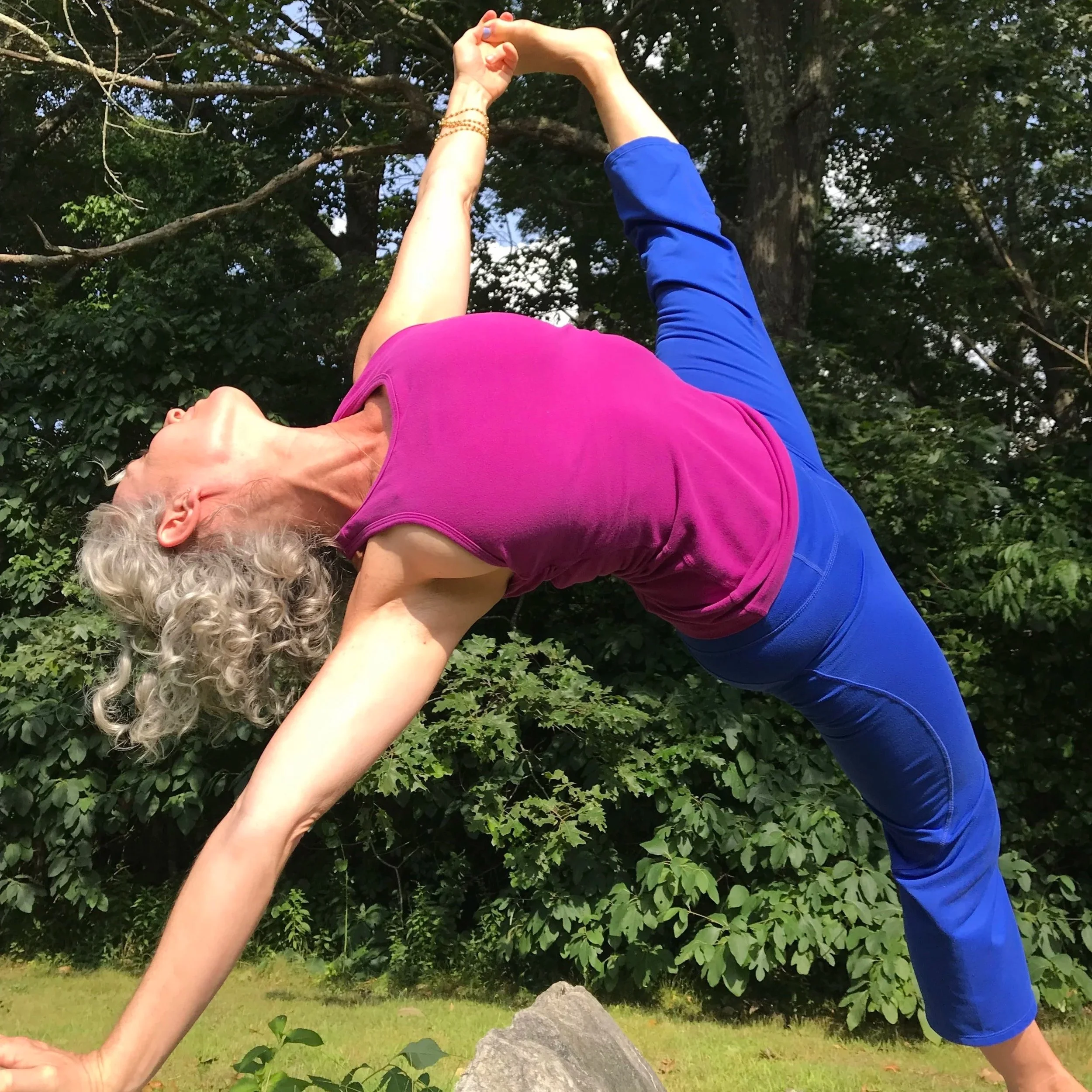 Āsana Intensive Series