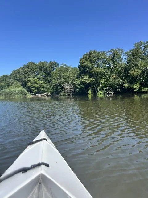 The power of practice