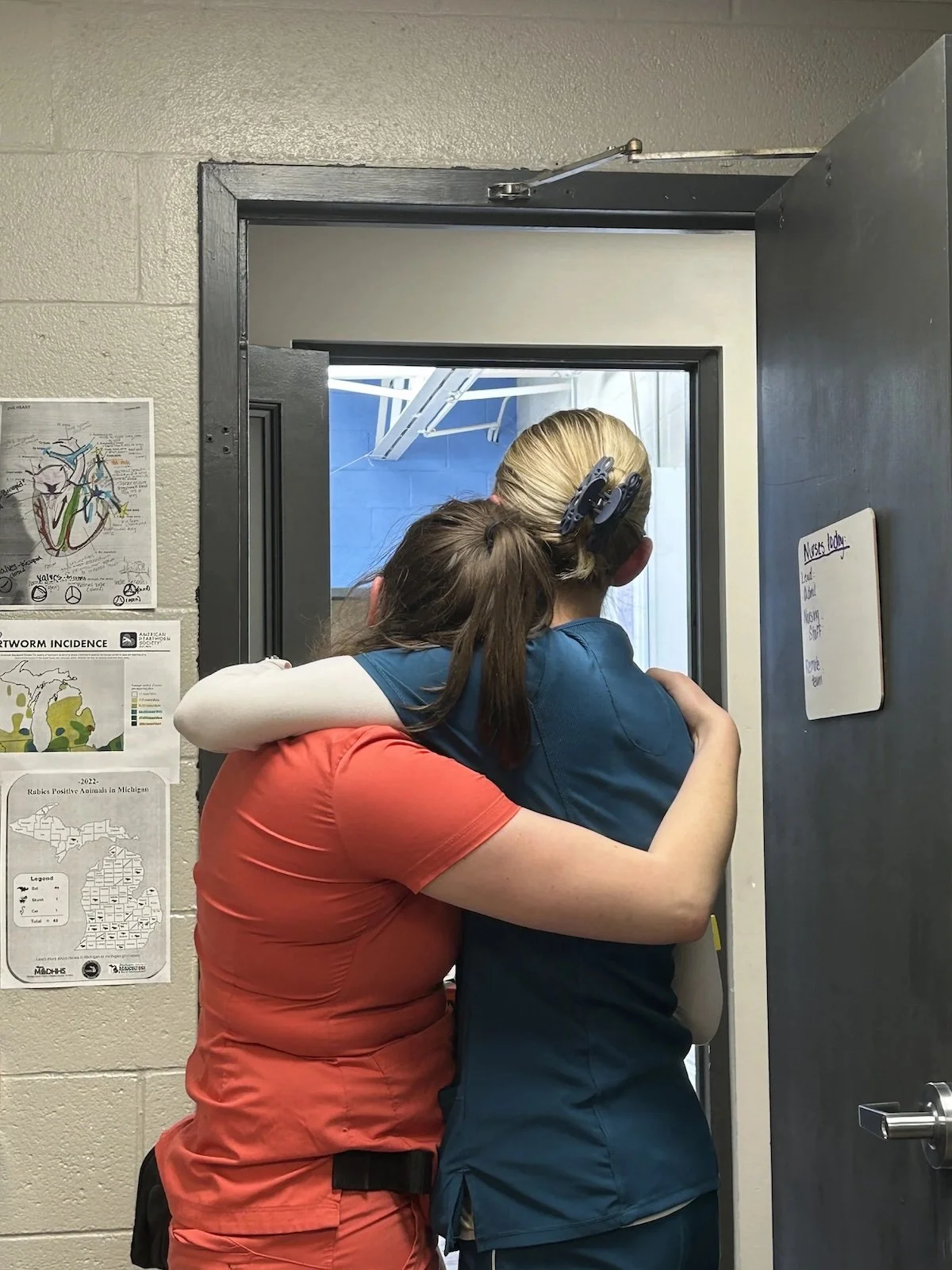 Two team members hugging at Easthaven Animal Hospital