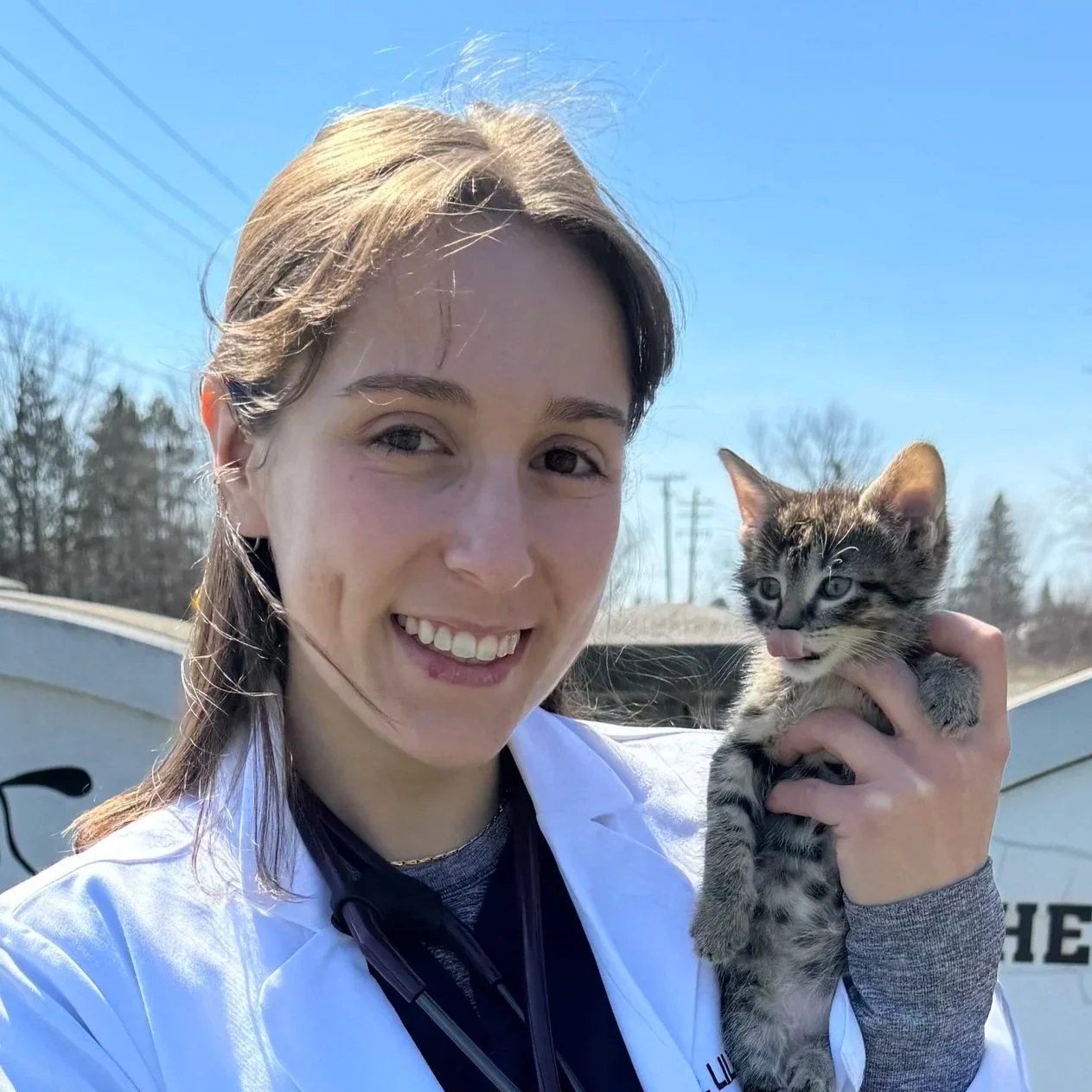 Dr. Molnar with a kitten