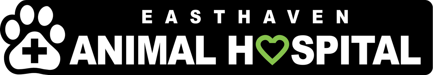 Easthaven Animal Hospital