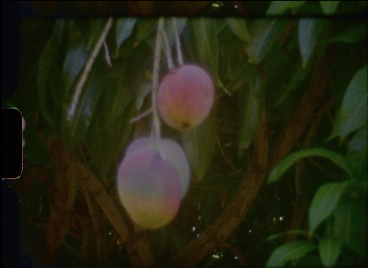 Screen Shot 2023-05-16 at 1.13.44 PM.png