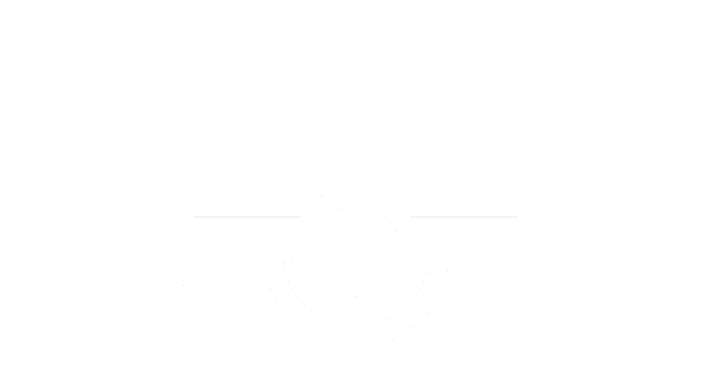 BWI Fly.png