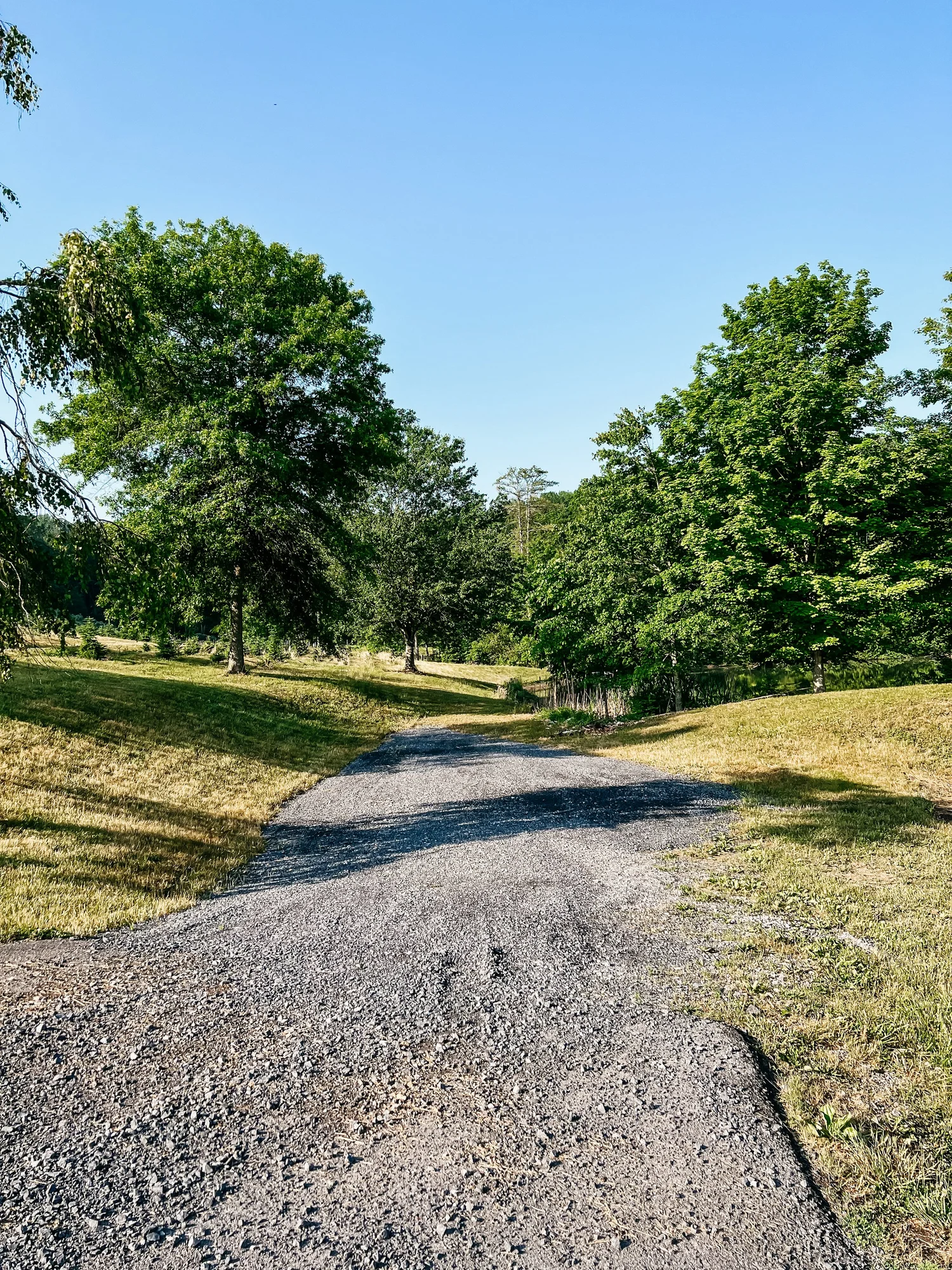 Glamping — Tuckaway Tree Farm
