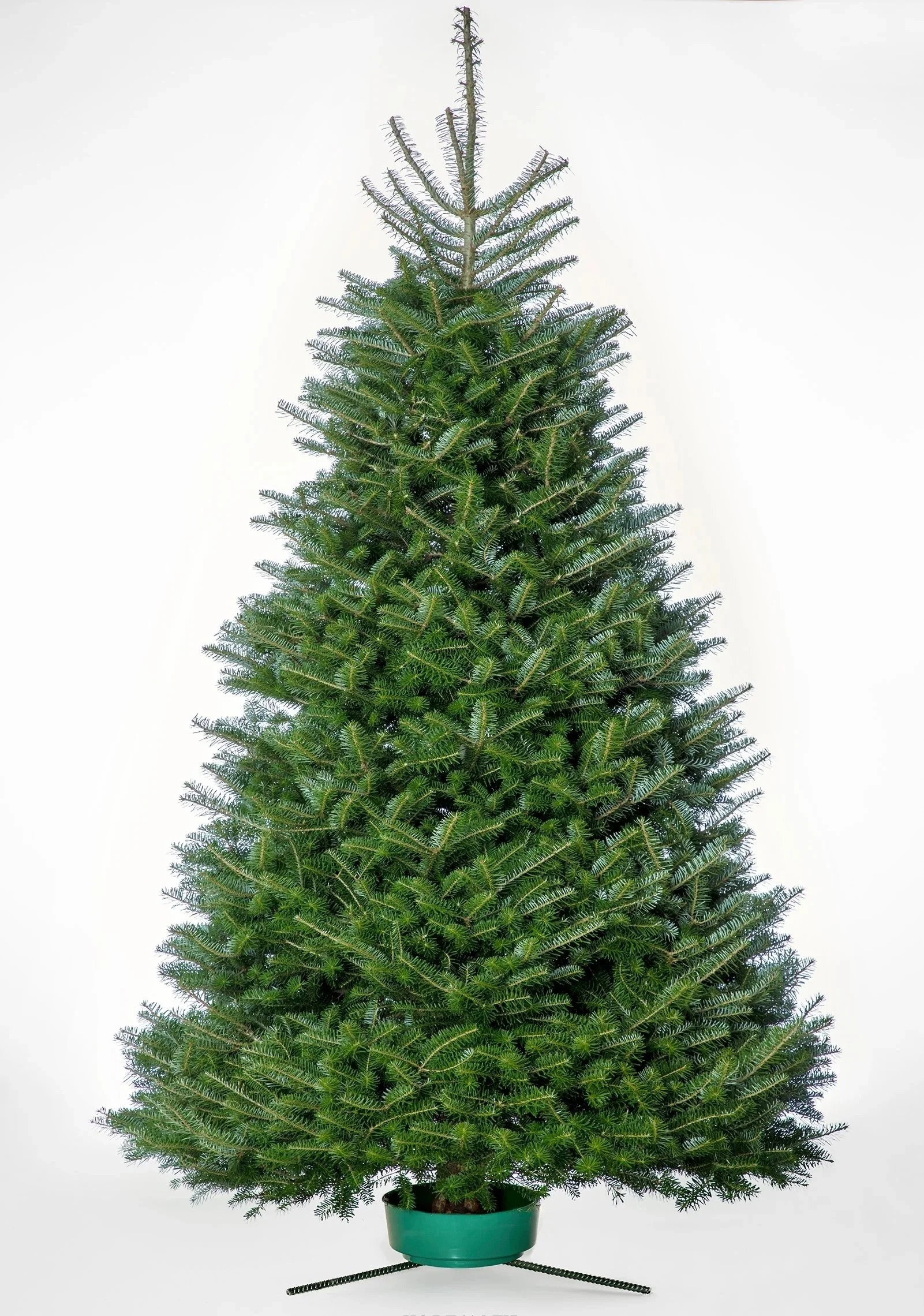 A potted Christmas tree decorated for the holiday season, with a white background.