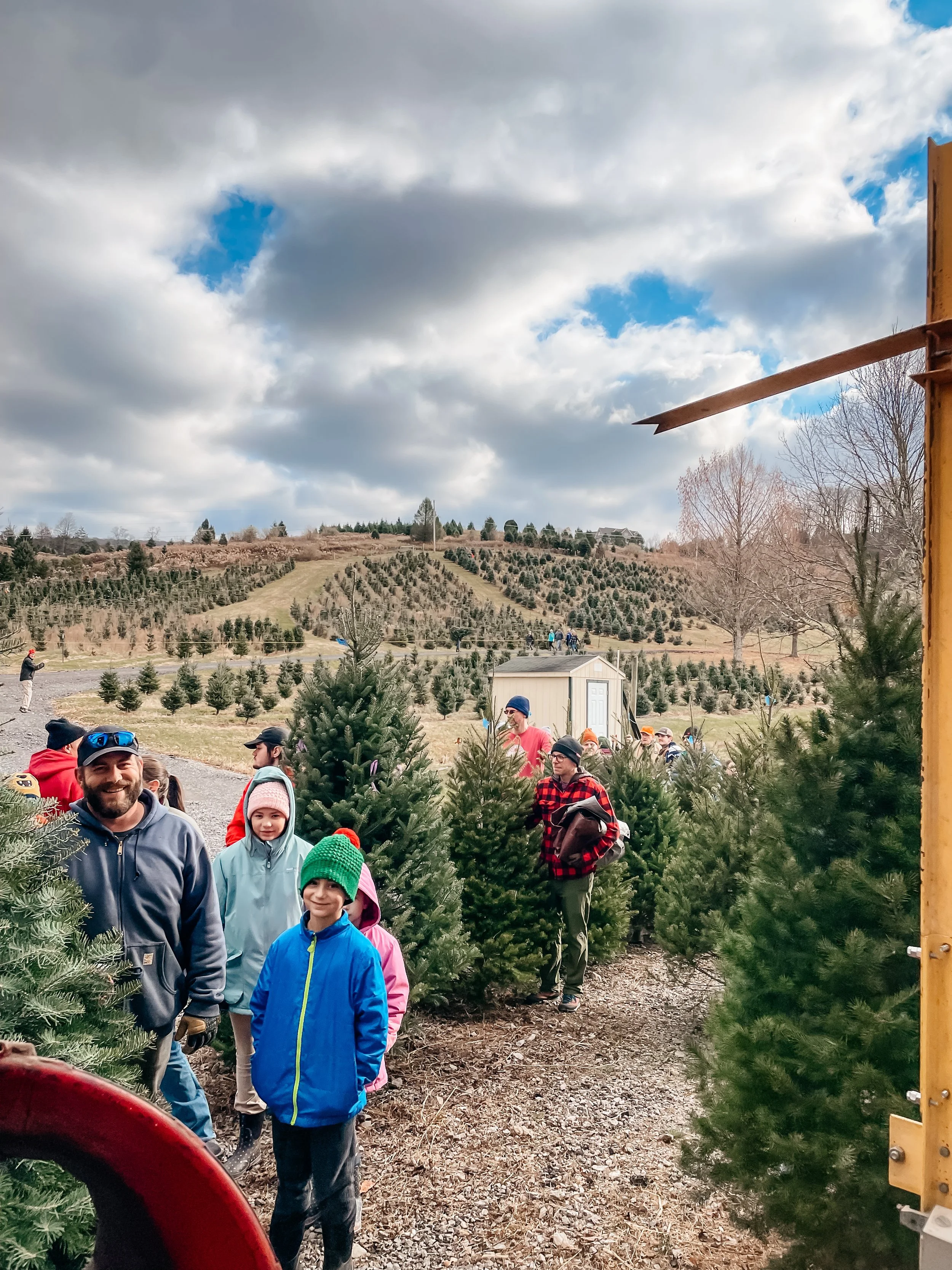 People, including children and adults, waiting in line at a Christmas tree farm, with a large hill filled with Christmas trees in the background under a partly cloudy sky.