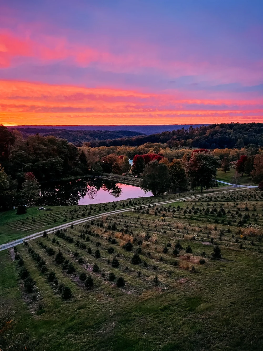 Trees — Tuckaway Tree Farm