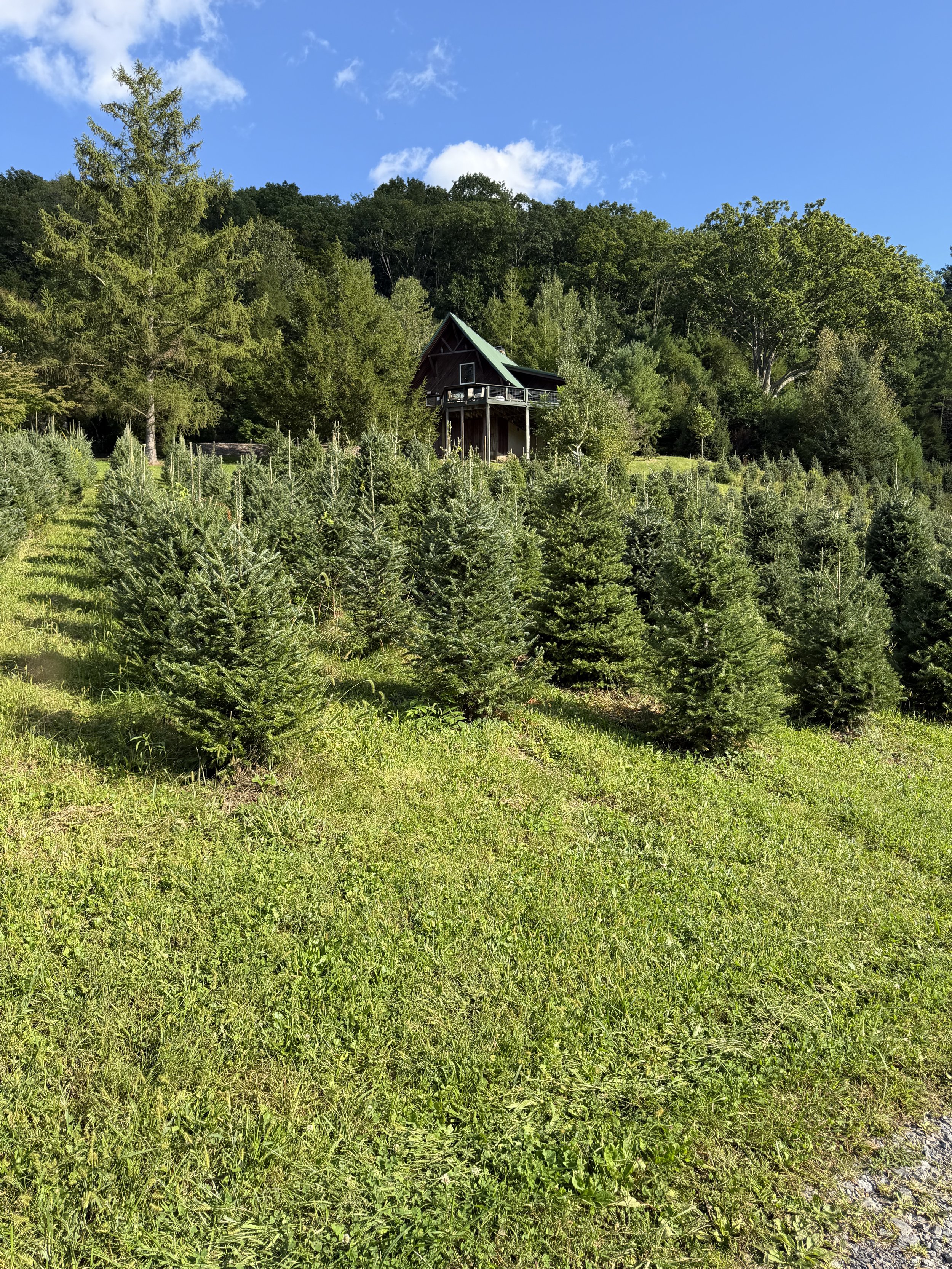 View of A-Frame Cabin across pond at Tuckaway Tree Farm