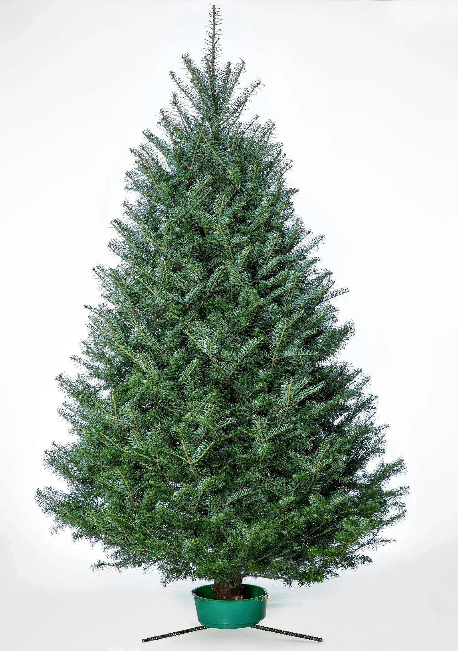A potted Christmas tree with green foliage and a brown trunk, topped with an empty space at the top, placed in a green pot, against a plain white background.