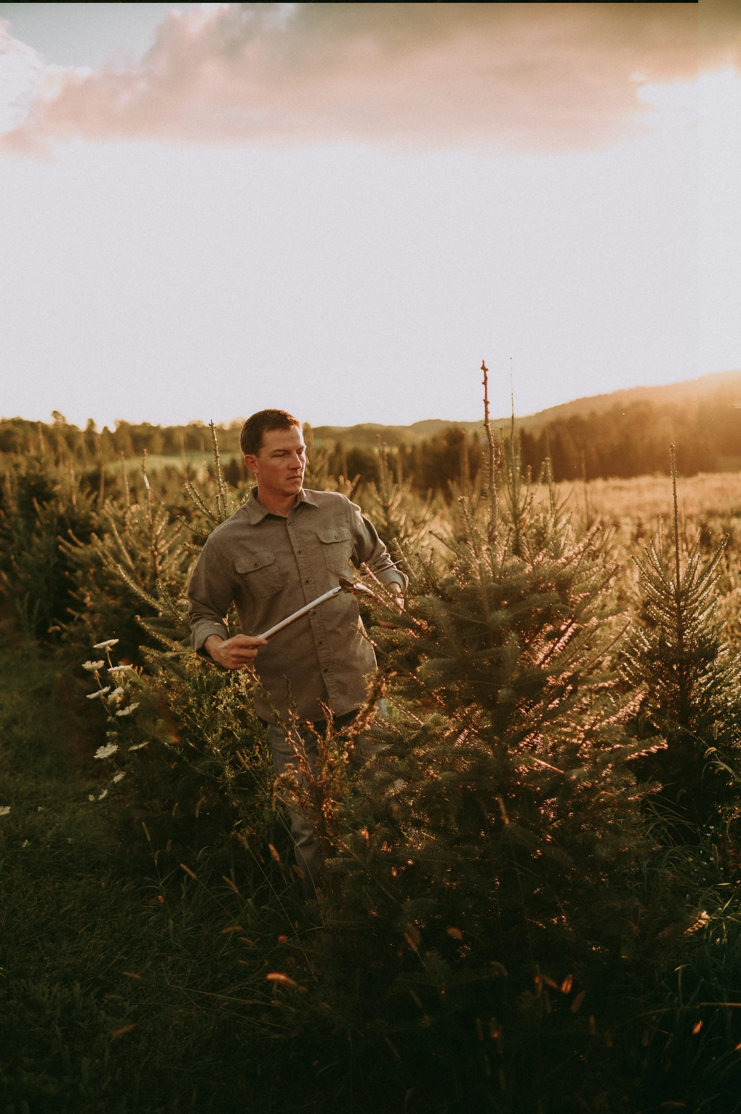 About Our Christmas Tree Farm — Tuckaway Tree Farm