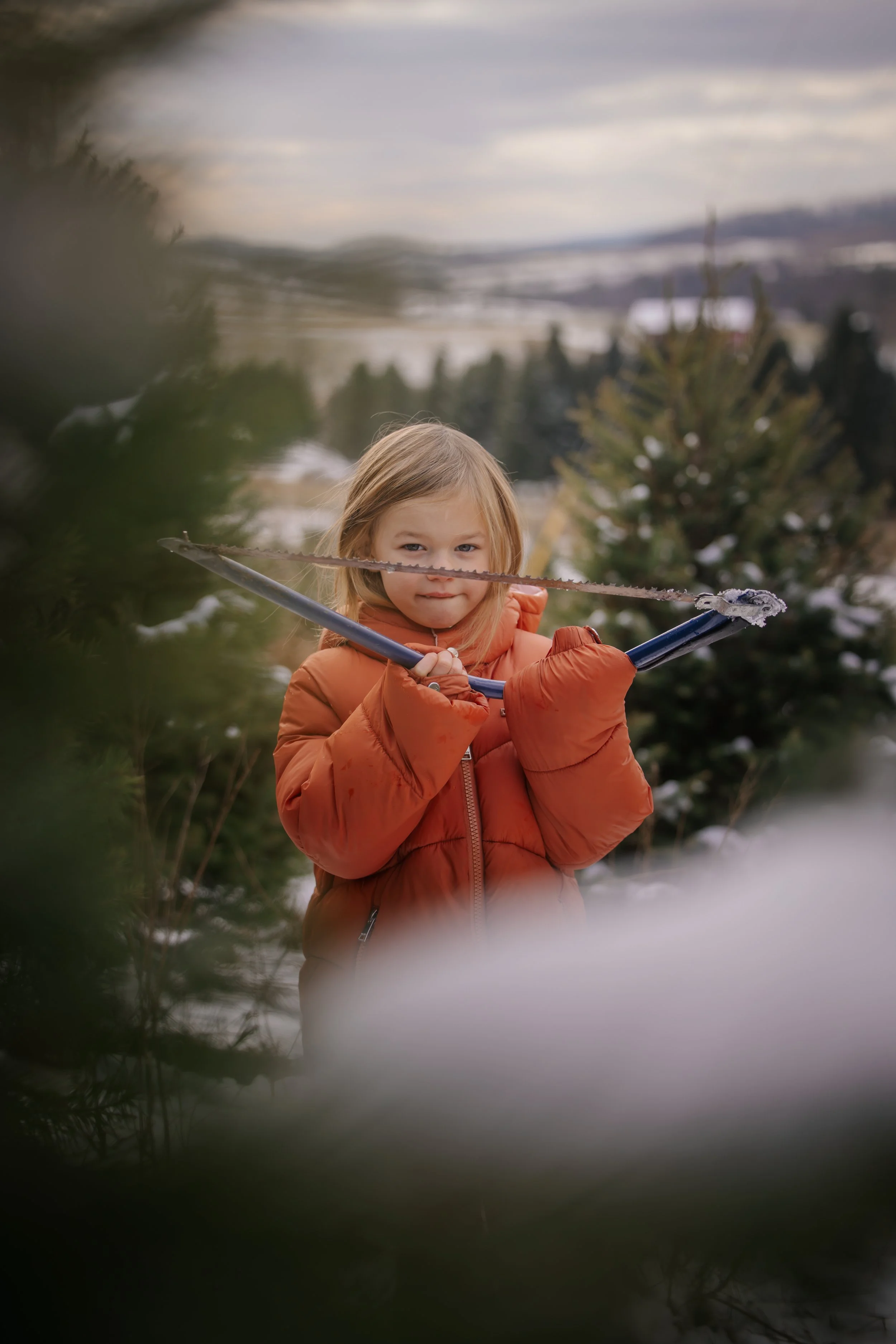 A you girl holding a saw at Tuckaway Tree Farm in central Pennsylvania