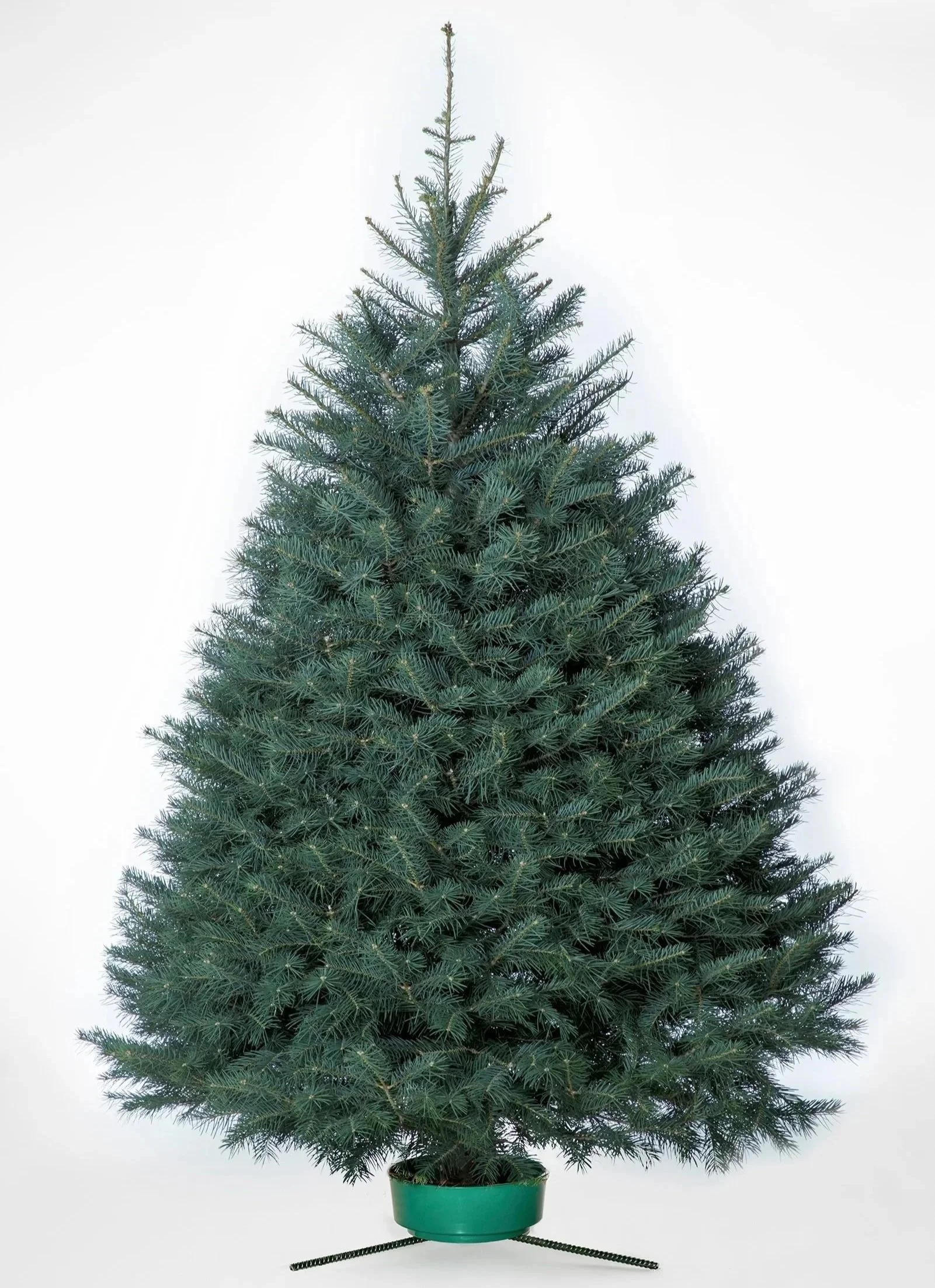An artificial Christmas tree in a green pot with a black stand and a white background.