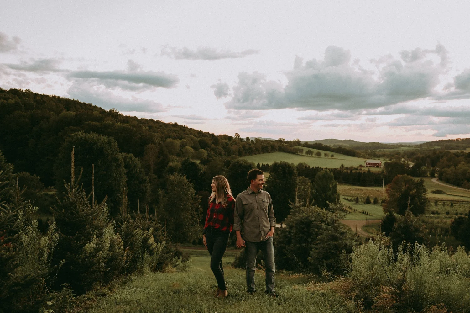 Tuckaway Tree Farm Christmas Tree Farm Near Me