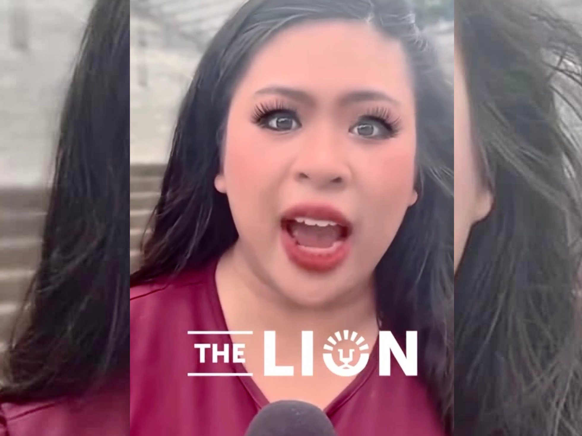 Herzog Foundation's "The Lion", now "Heartlander News"