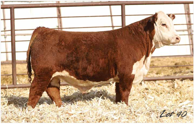 PCC 0152 MAVERICK 3058 ET