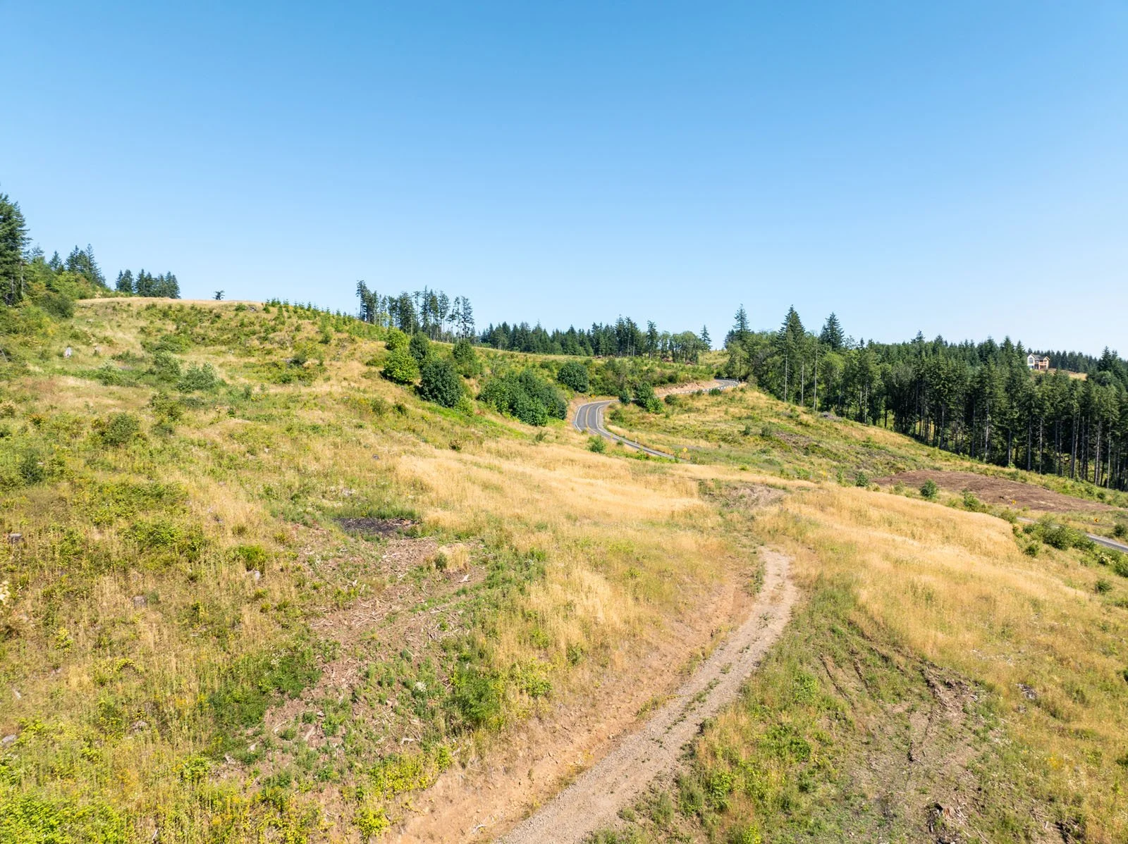 Lot 2 Green Mt Rd RMLS 8 of 12.jpg