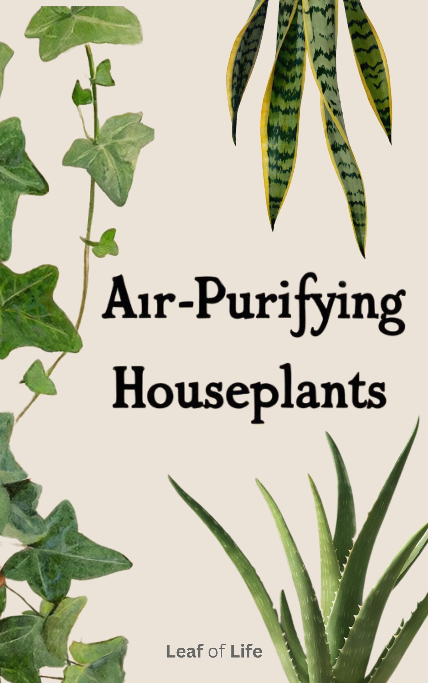 House plants (eBook Cover) (3).png