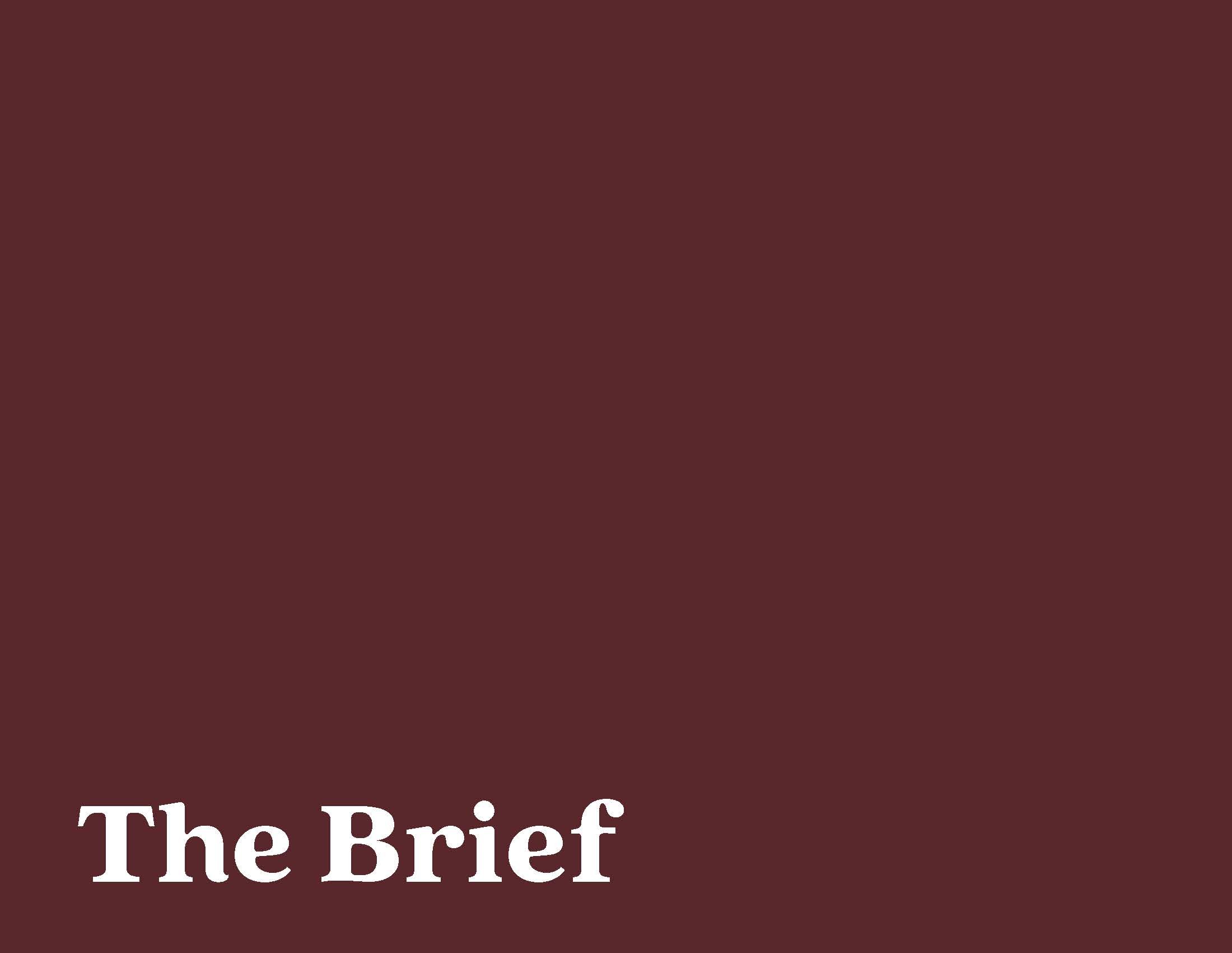 JDitto_TCC_Branding_Presentation_BoardMeeting_Page_02.jpg