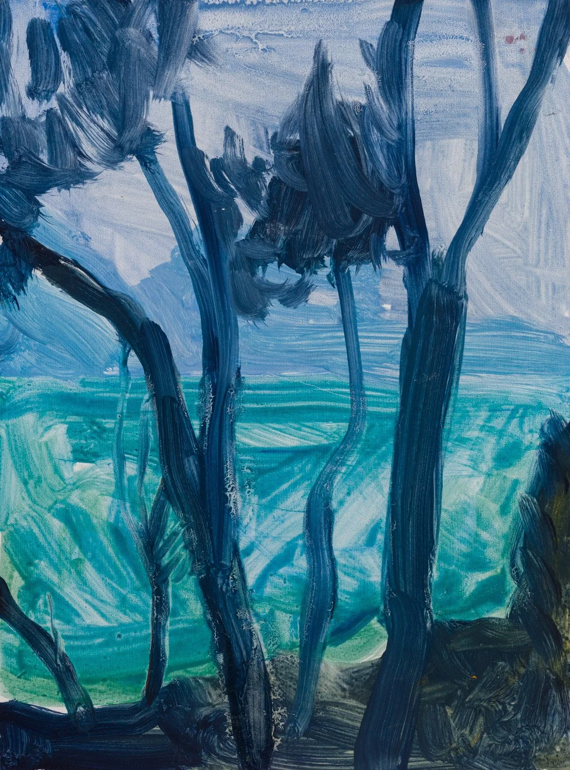 2508-EBarnett-Trees at Spring Beach-WEB.jpg